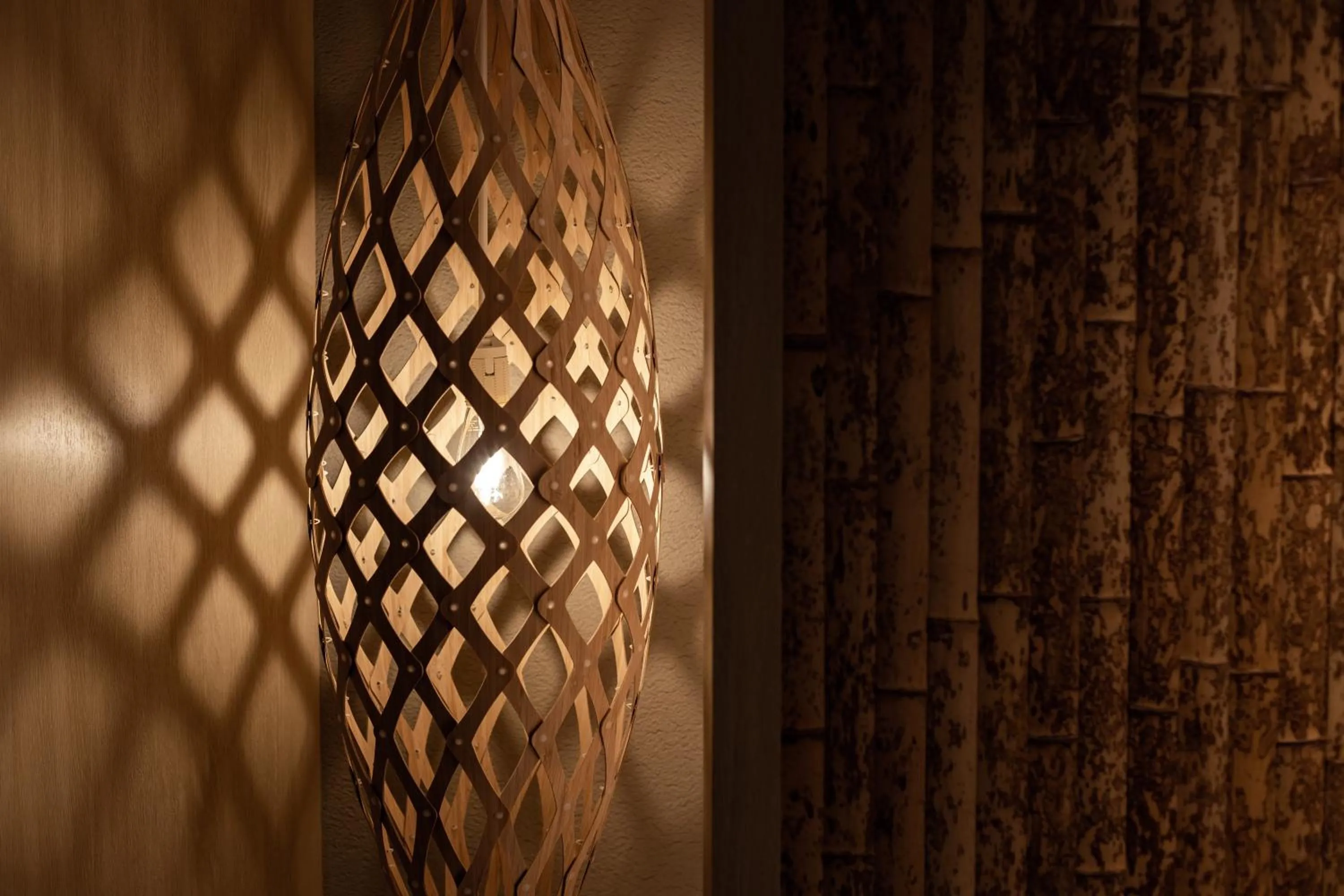 Photo of the whole room in Y-HOTEL