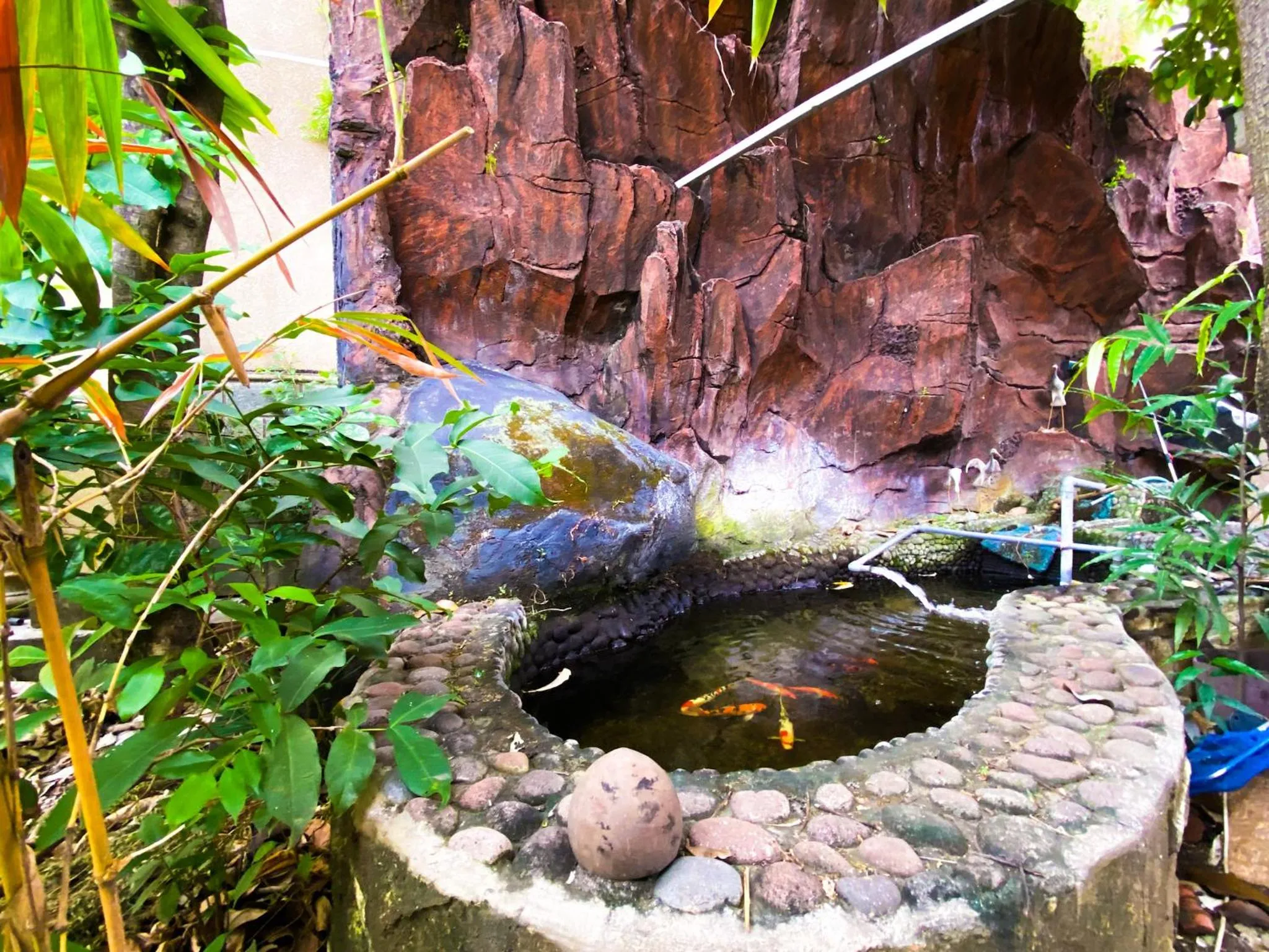 Natural landscape in Homey Guesthouse near Sby Zoo Syariah