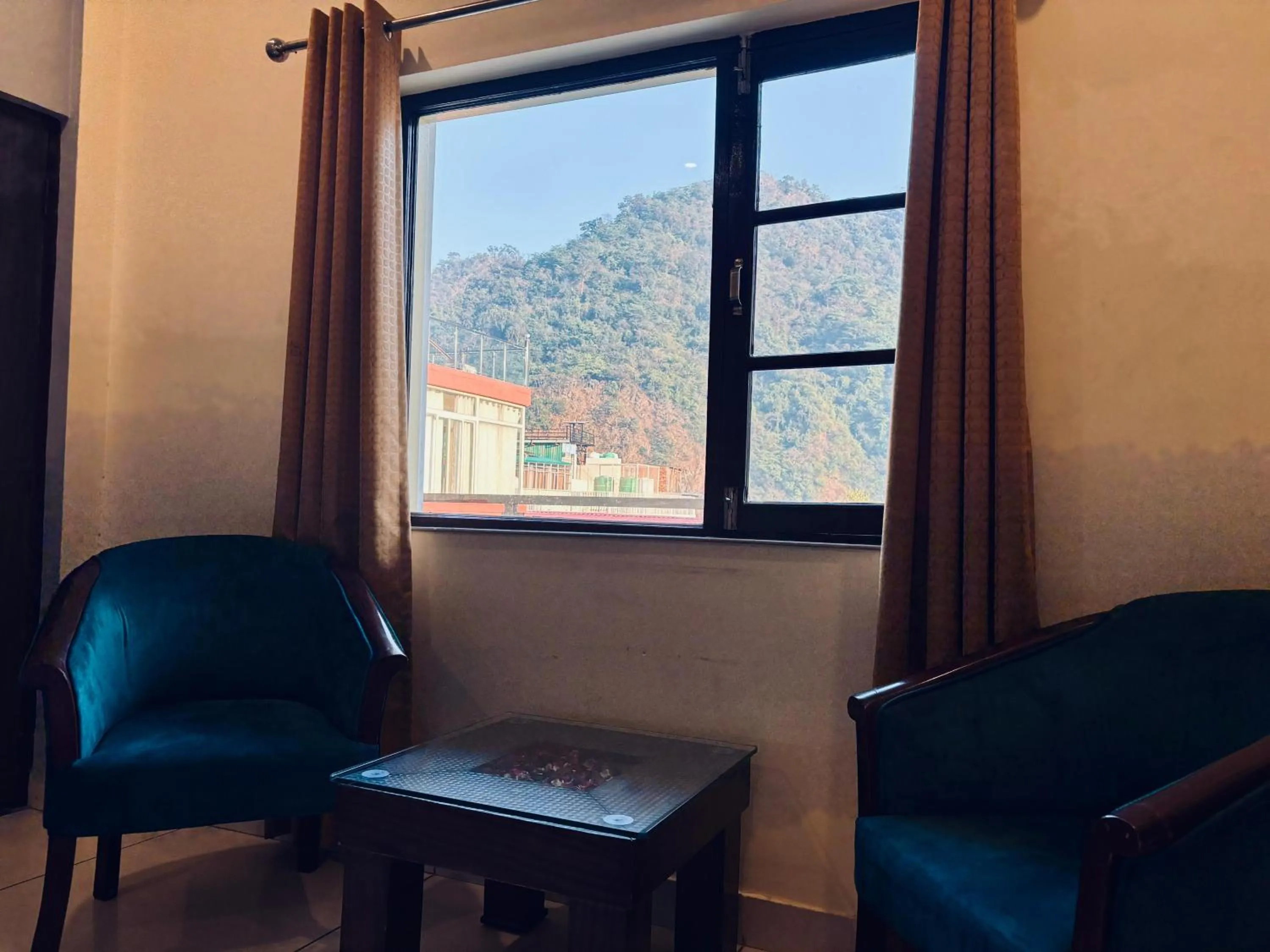 View (from property/room) in Tapovan New Residency - 5 minutes walk to Laxman jhula