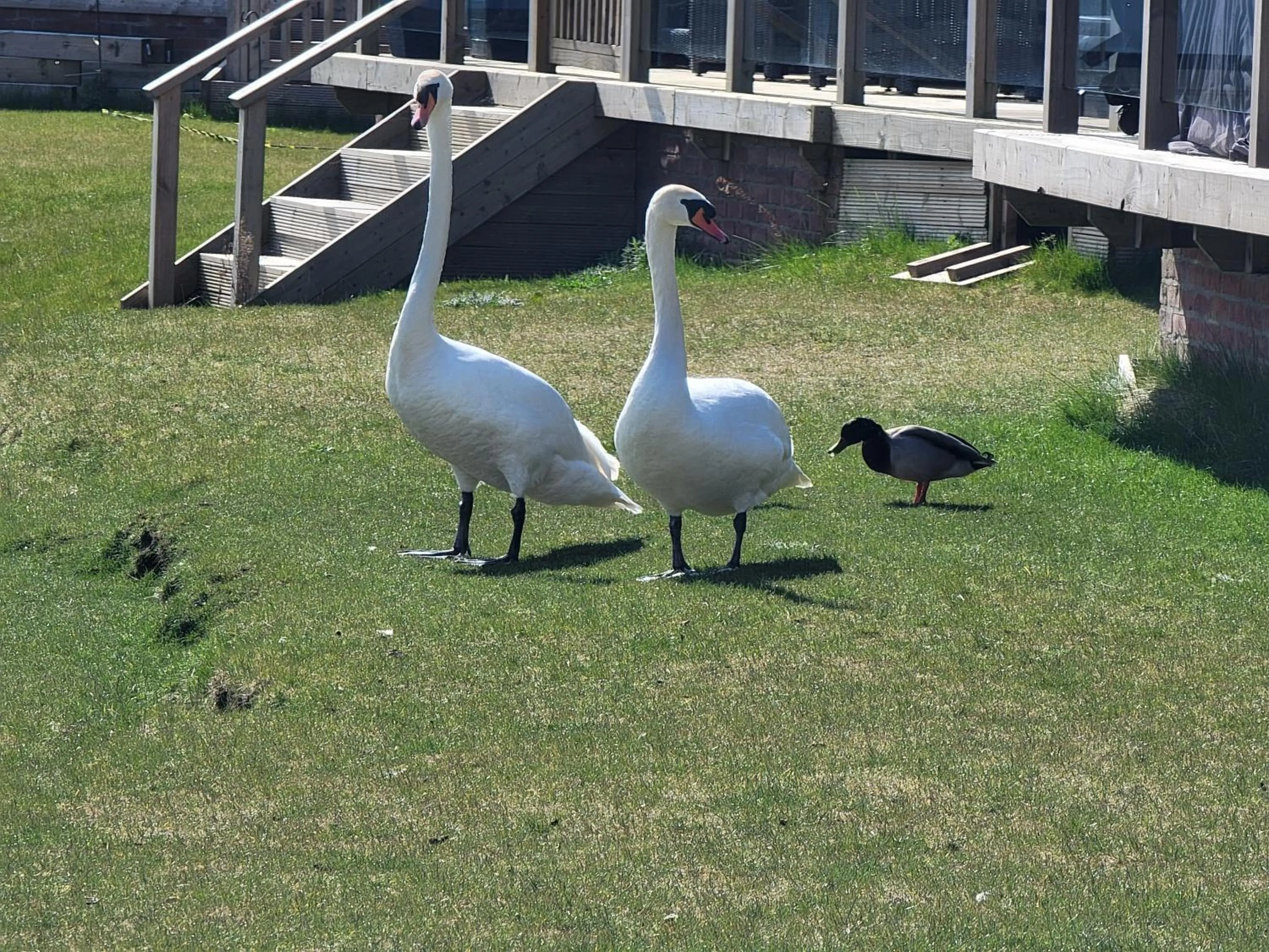 Luxury 2-Bed Lodge in Routh HotTub & Pet Friendly