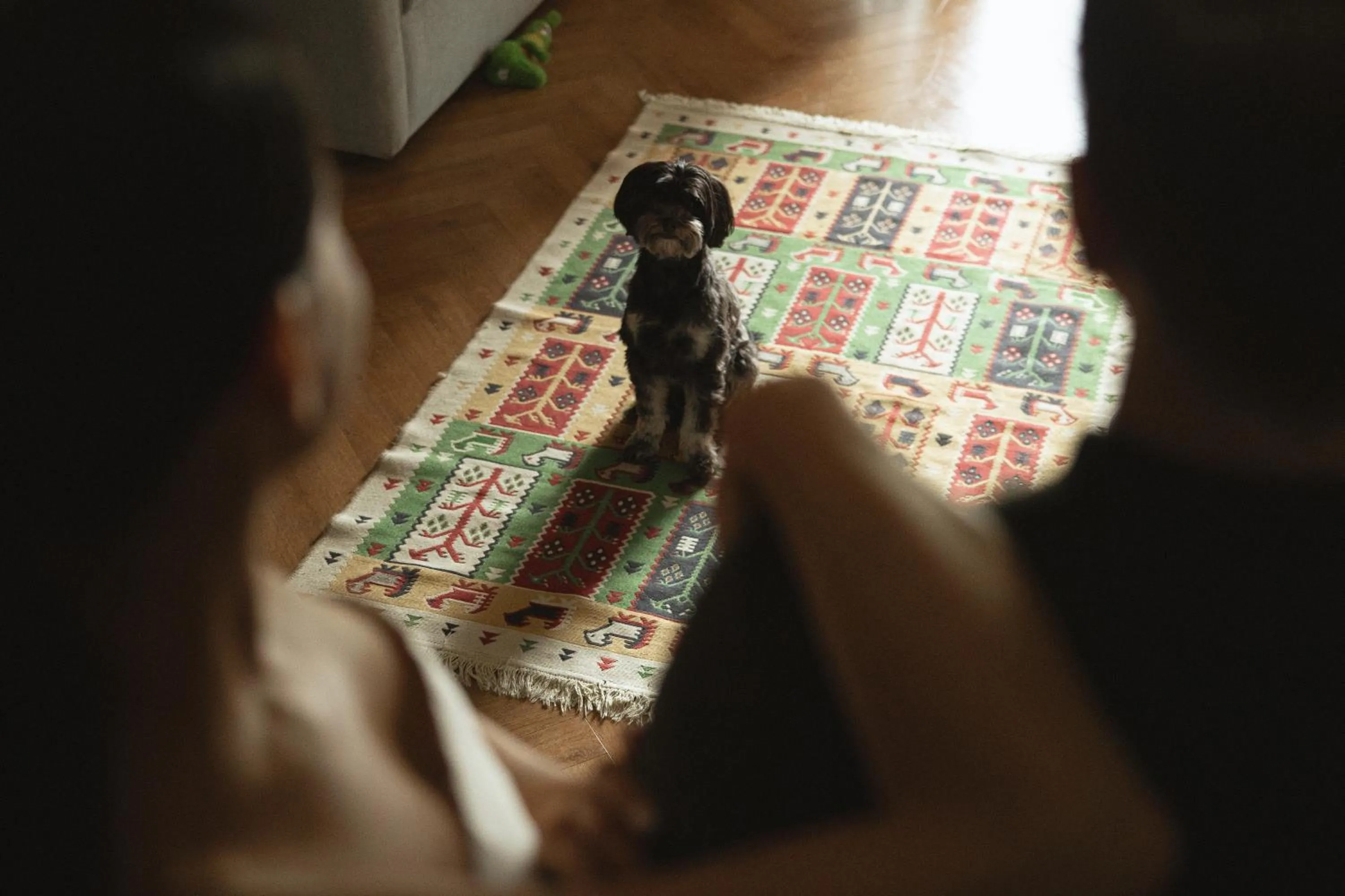 pet friendly in Margot Old Tbilisi