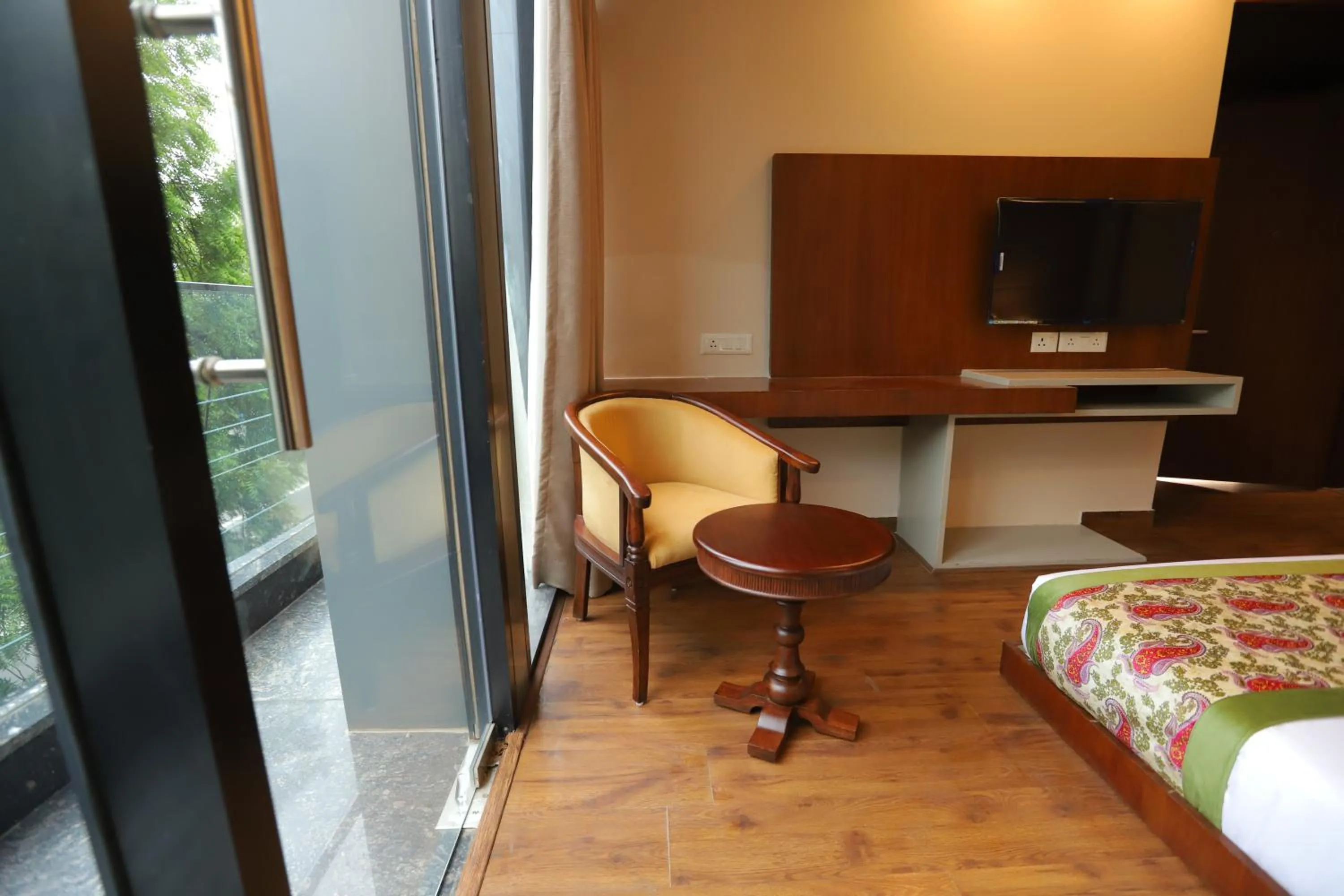Communal lounge/ TV room in IP Royal Hotel - New Delhi