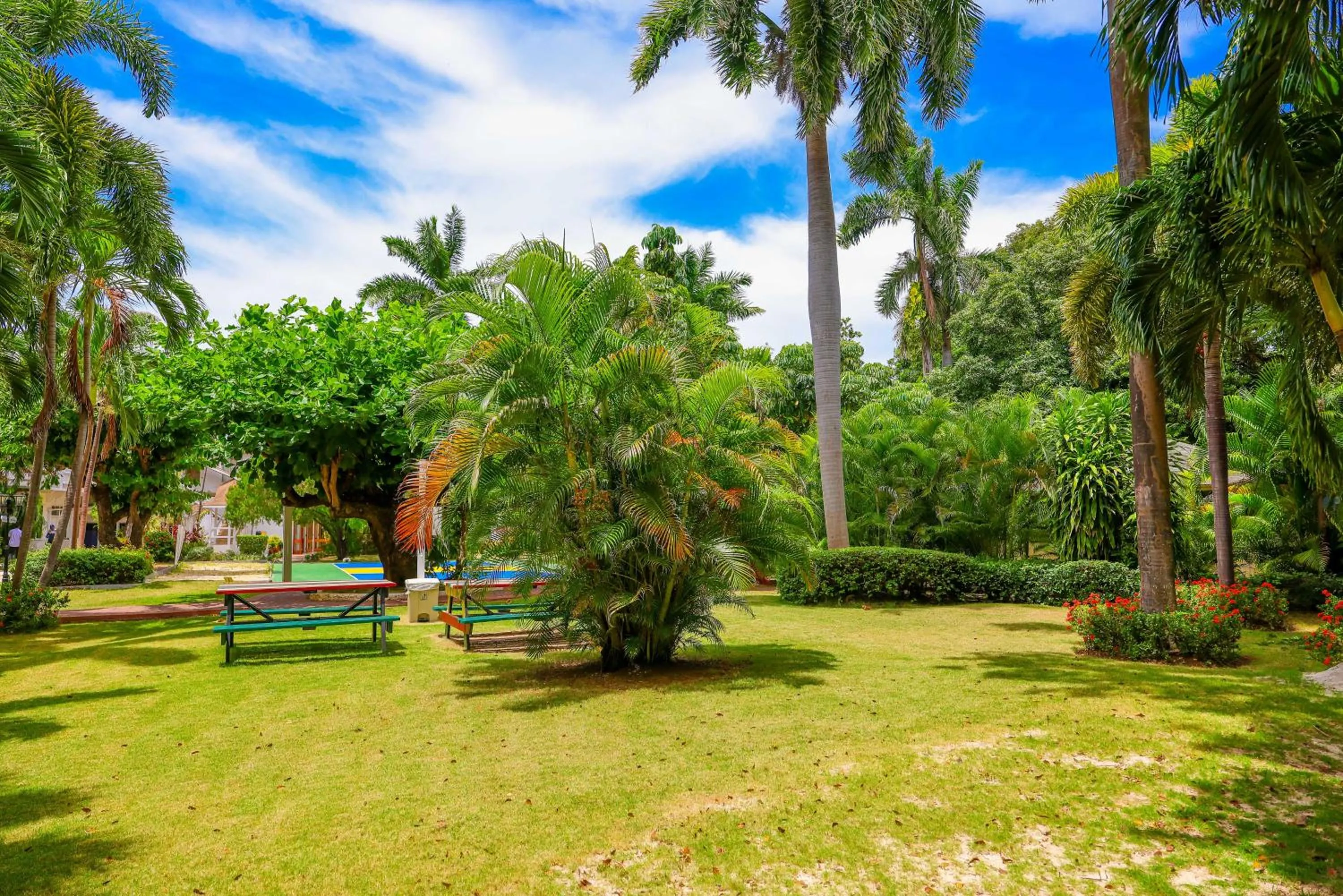 Day in Grand Decameron Montego Beach, A Trademark All-Inclusive Resort