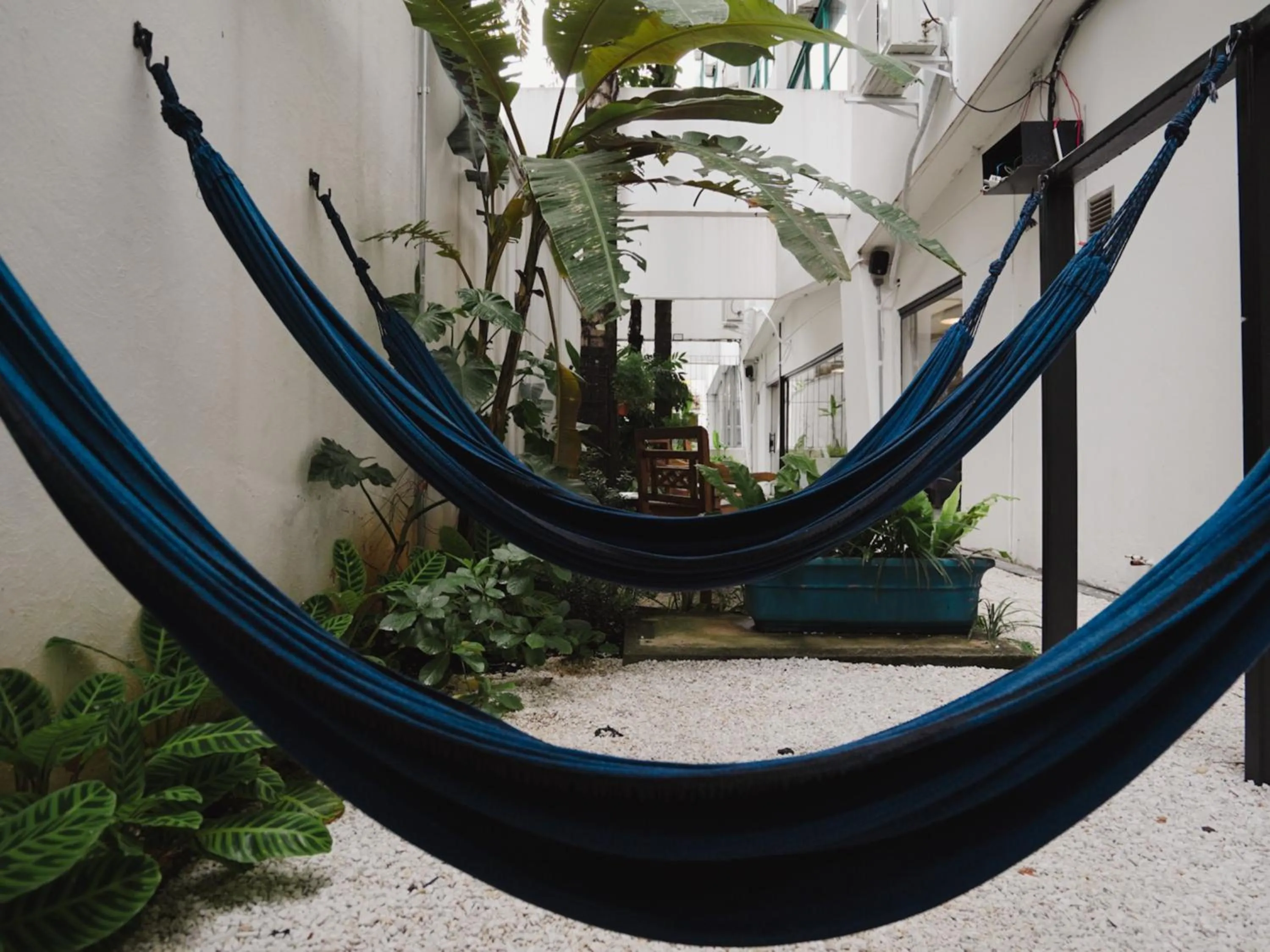 Garden in Apê Paulista Bela Cintra