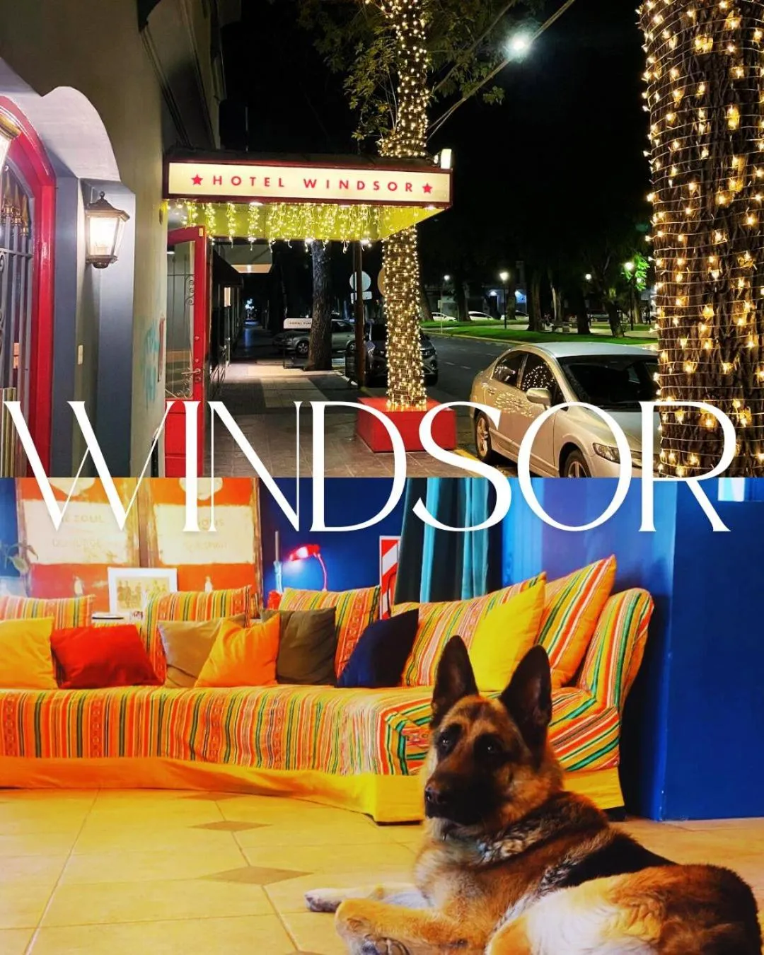 Property building in Hotel Windsor Mendoza