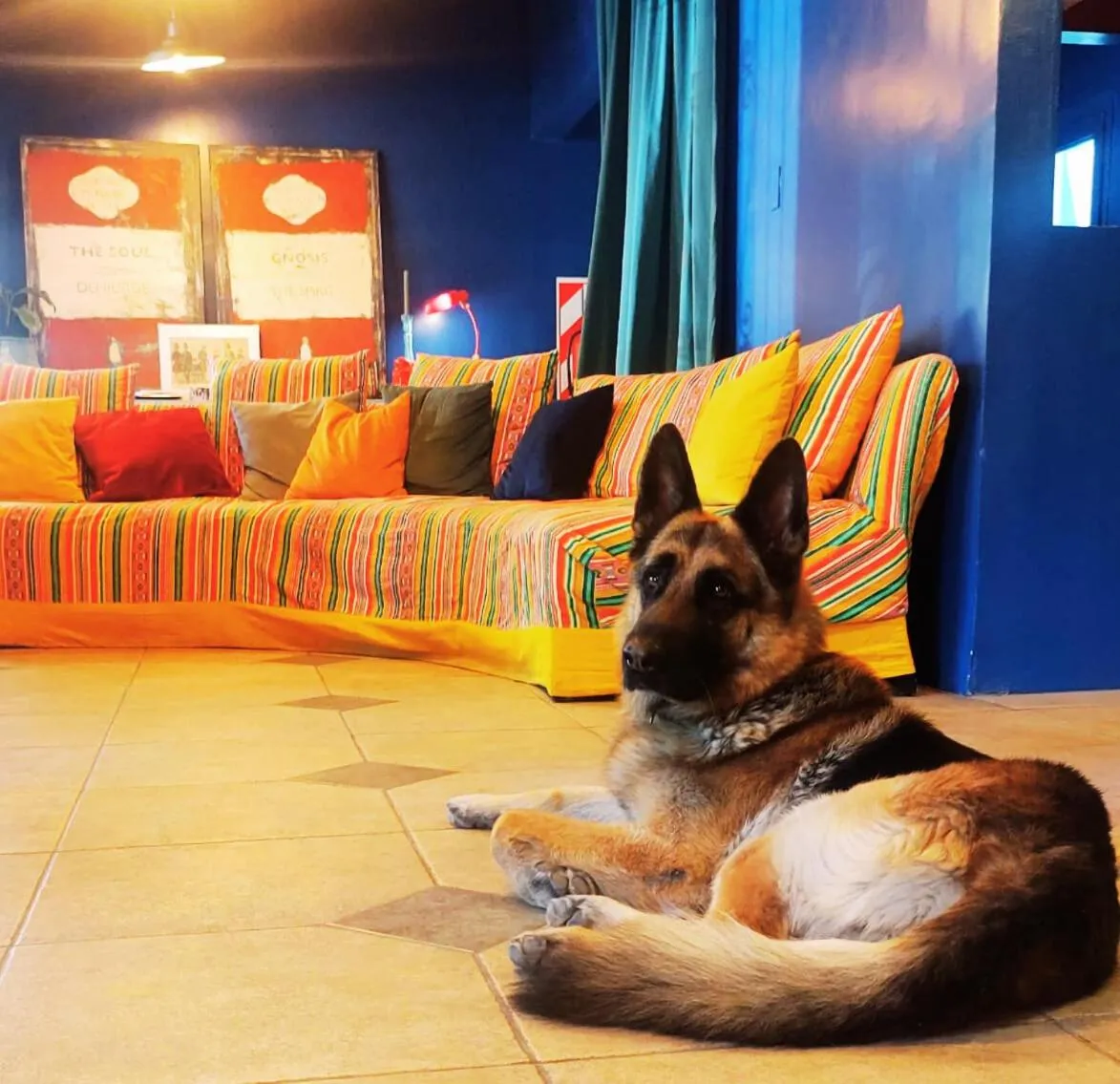 Living room in Hotel Windsor Mendoza