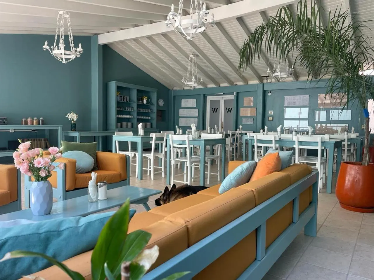 Dining area in Hotel Windsor Mendoza