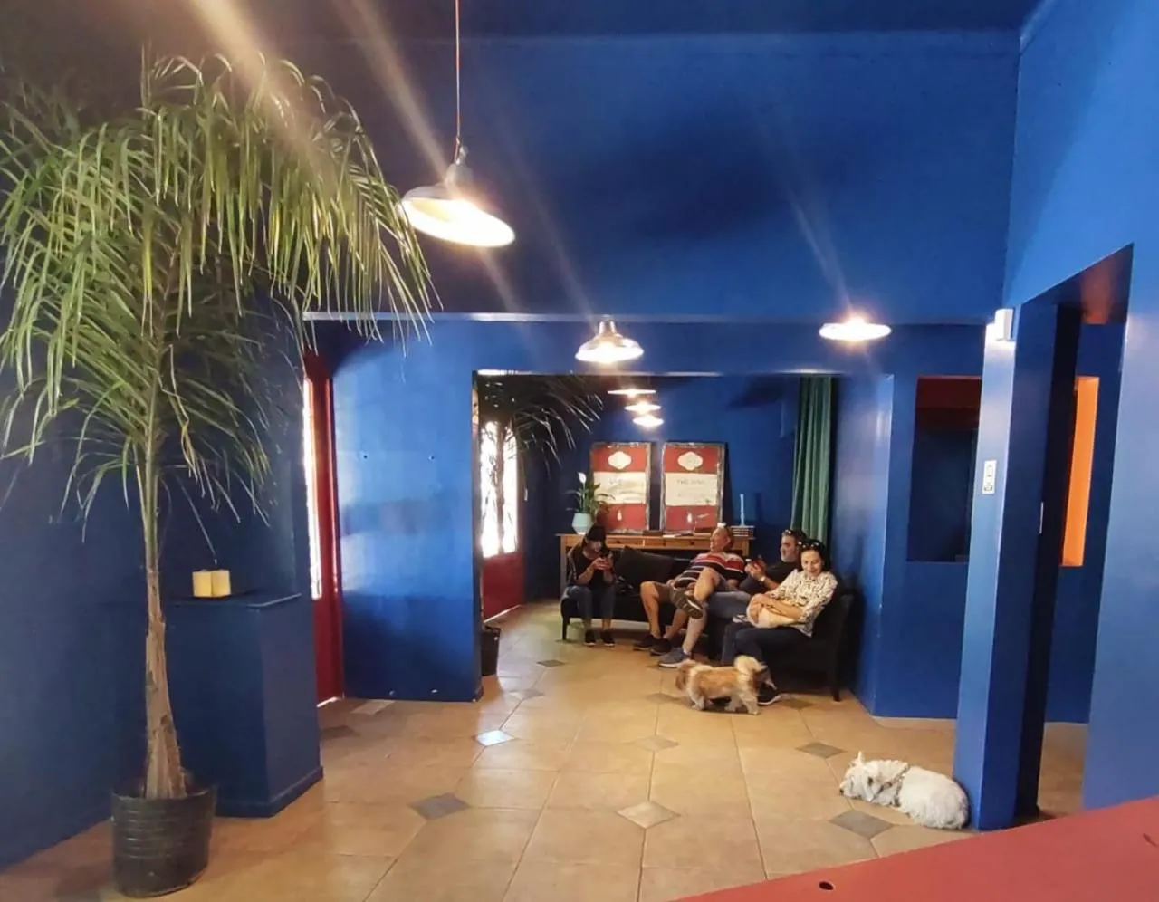 Lobby or reception in Hotel Windsor Mendoza