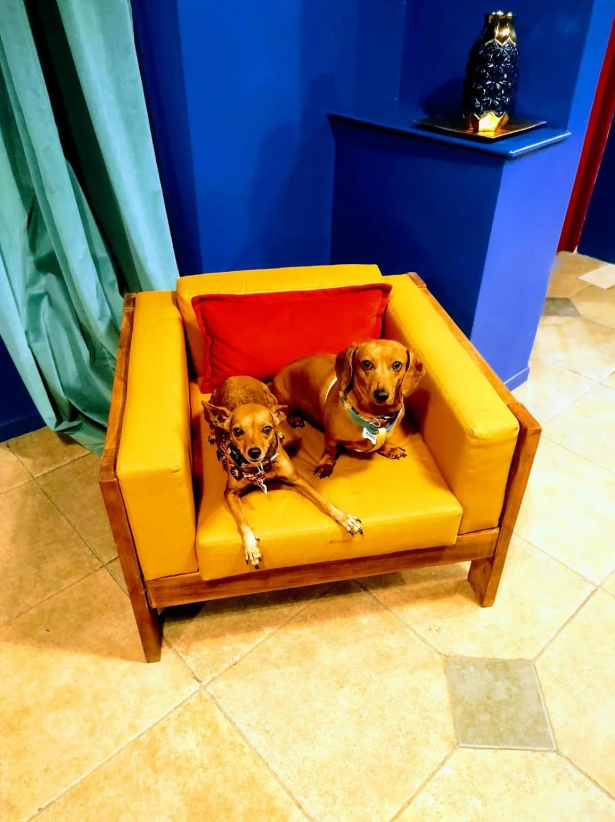 Lobby or reception in Hotel Windsor Mendoza