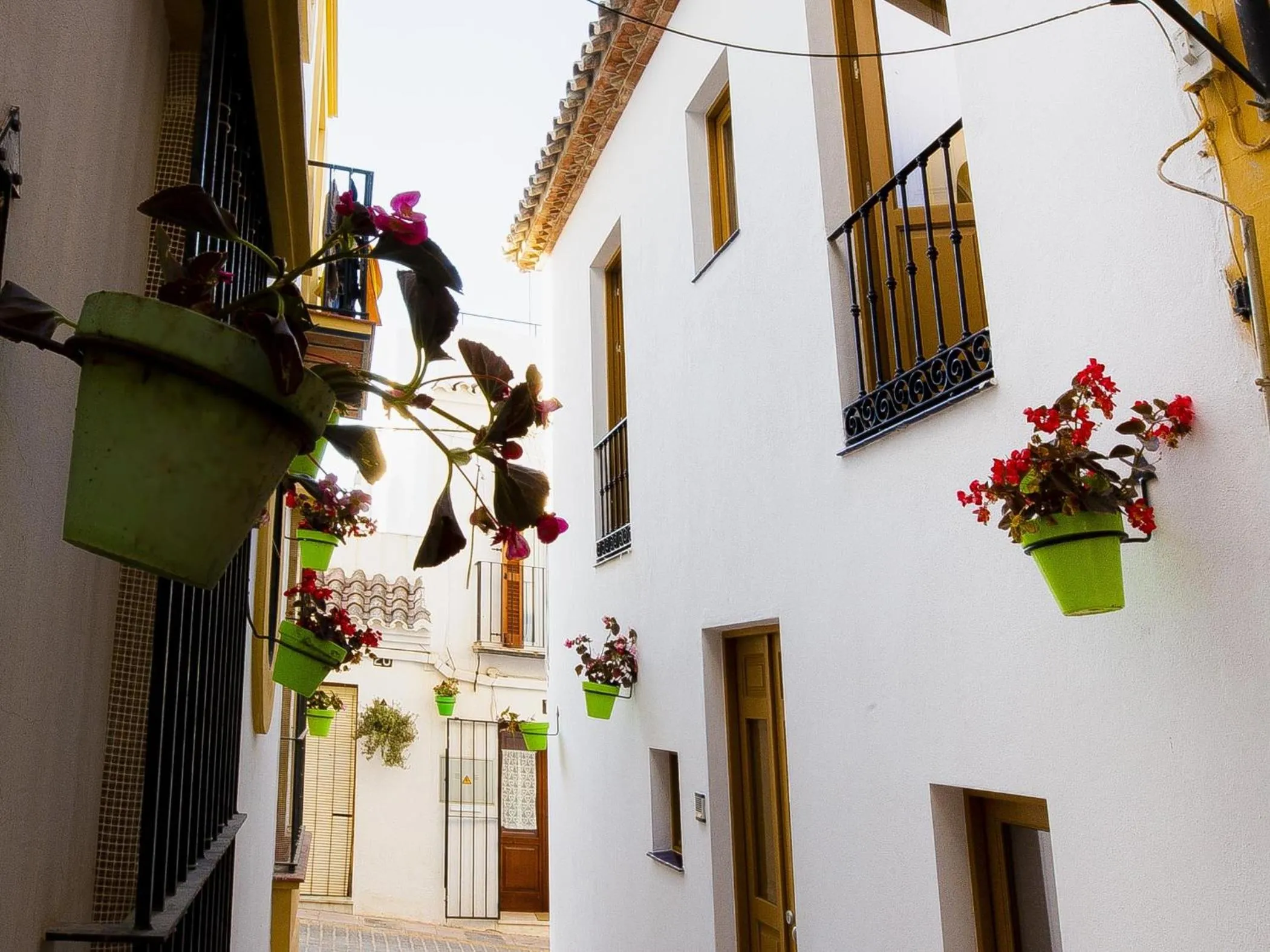 Calle Pintado 21 Bajo