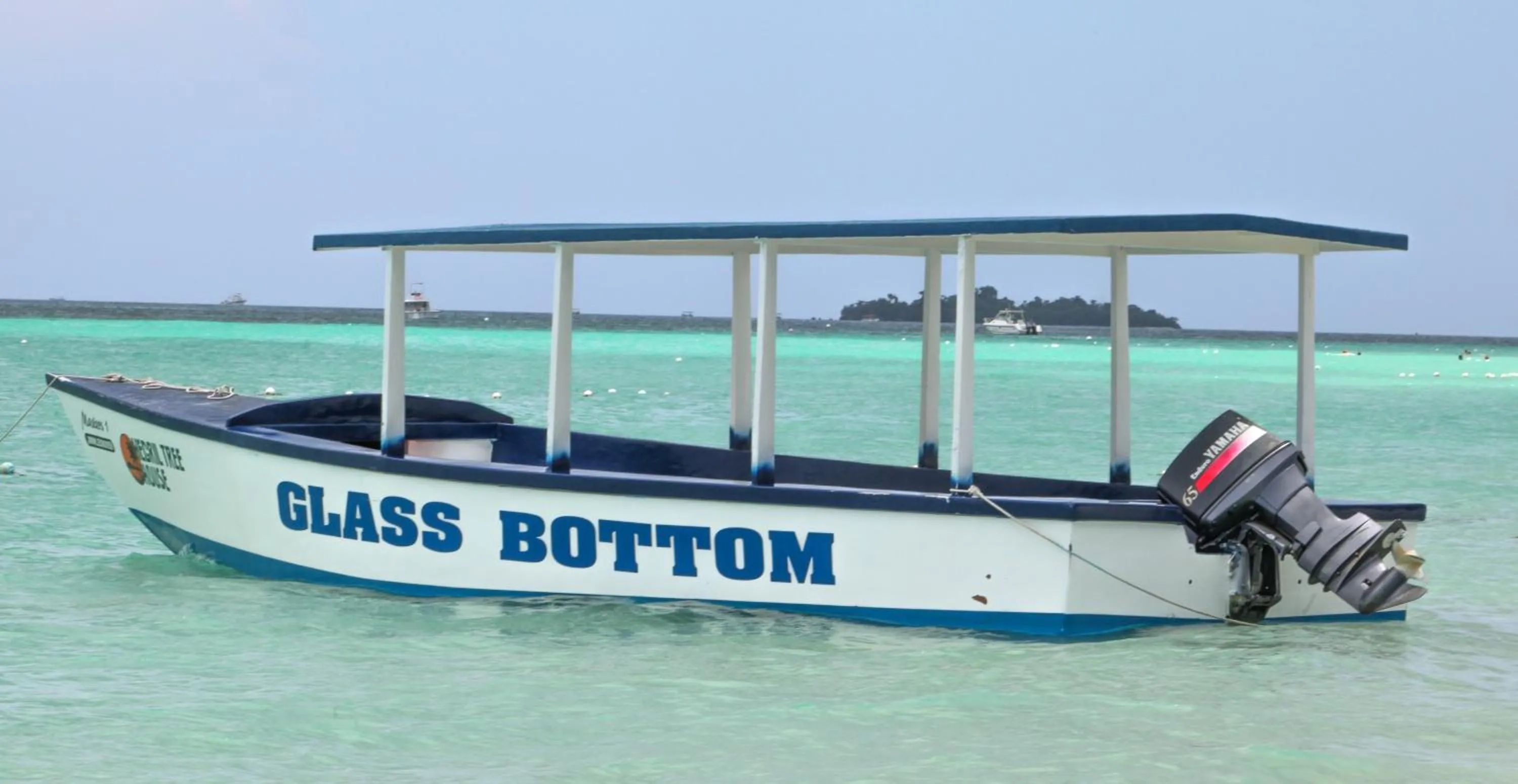Snorkeling in Negril Treehouse Resort