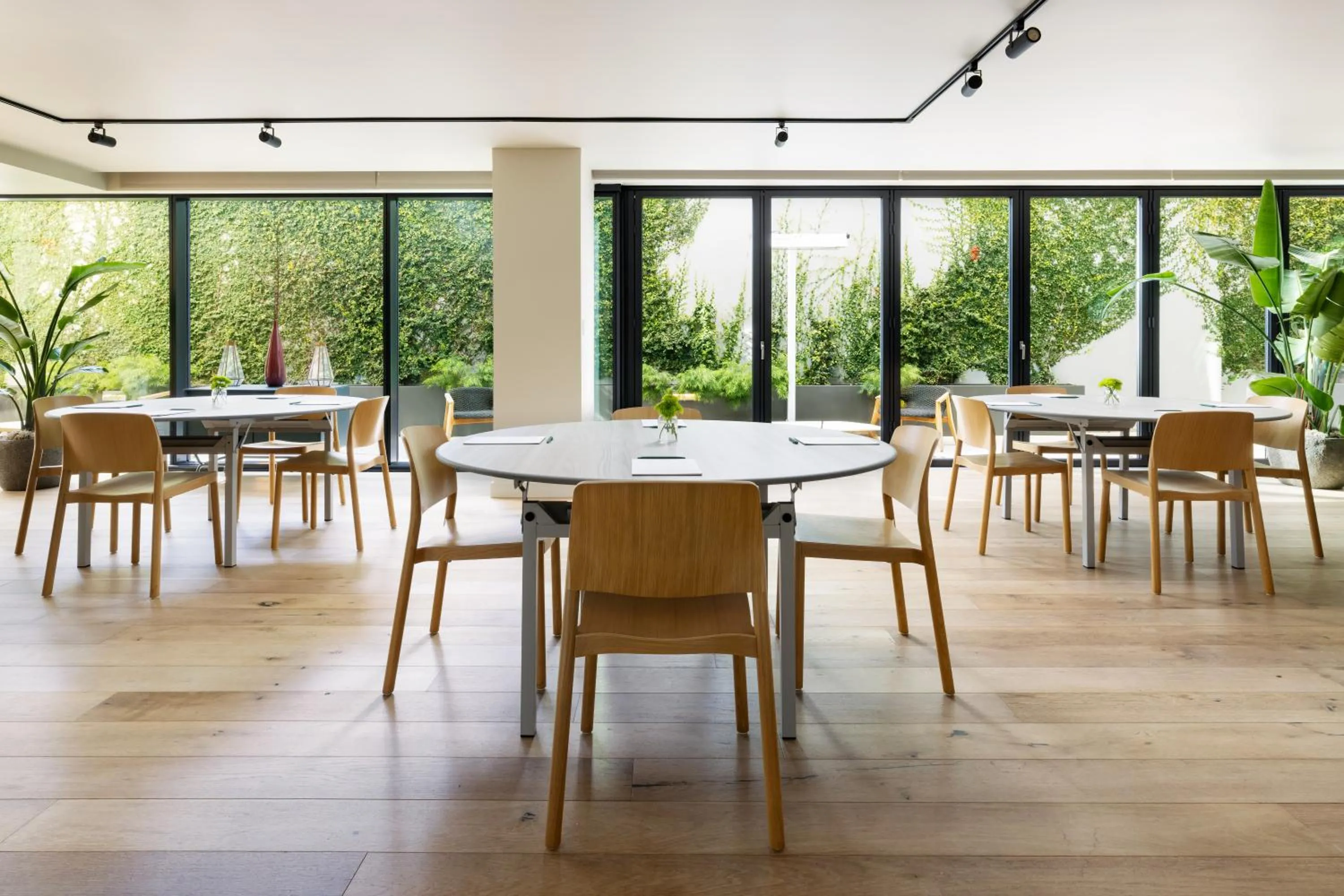 Restaurant/places to eat in Timbri Hotel San Francisco, Curio Collection by Hilton