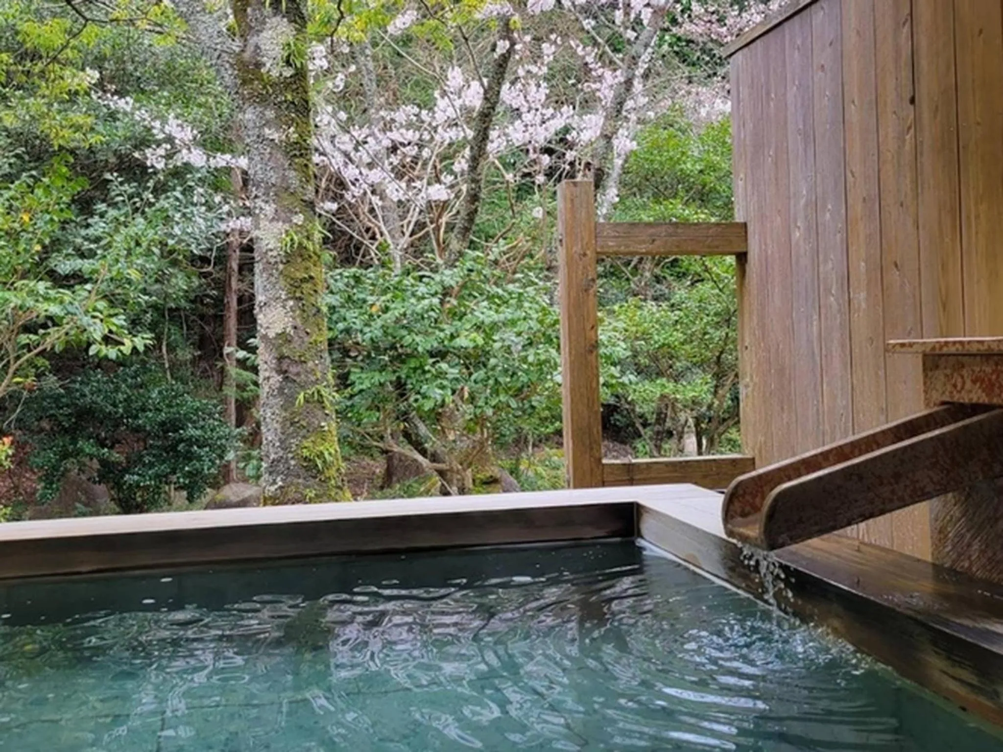 Hot Spring Bath in Tsukiyominoza