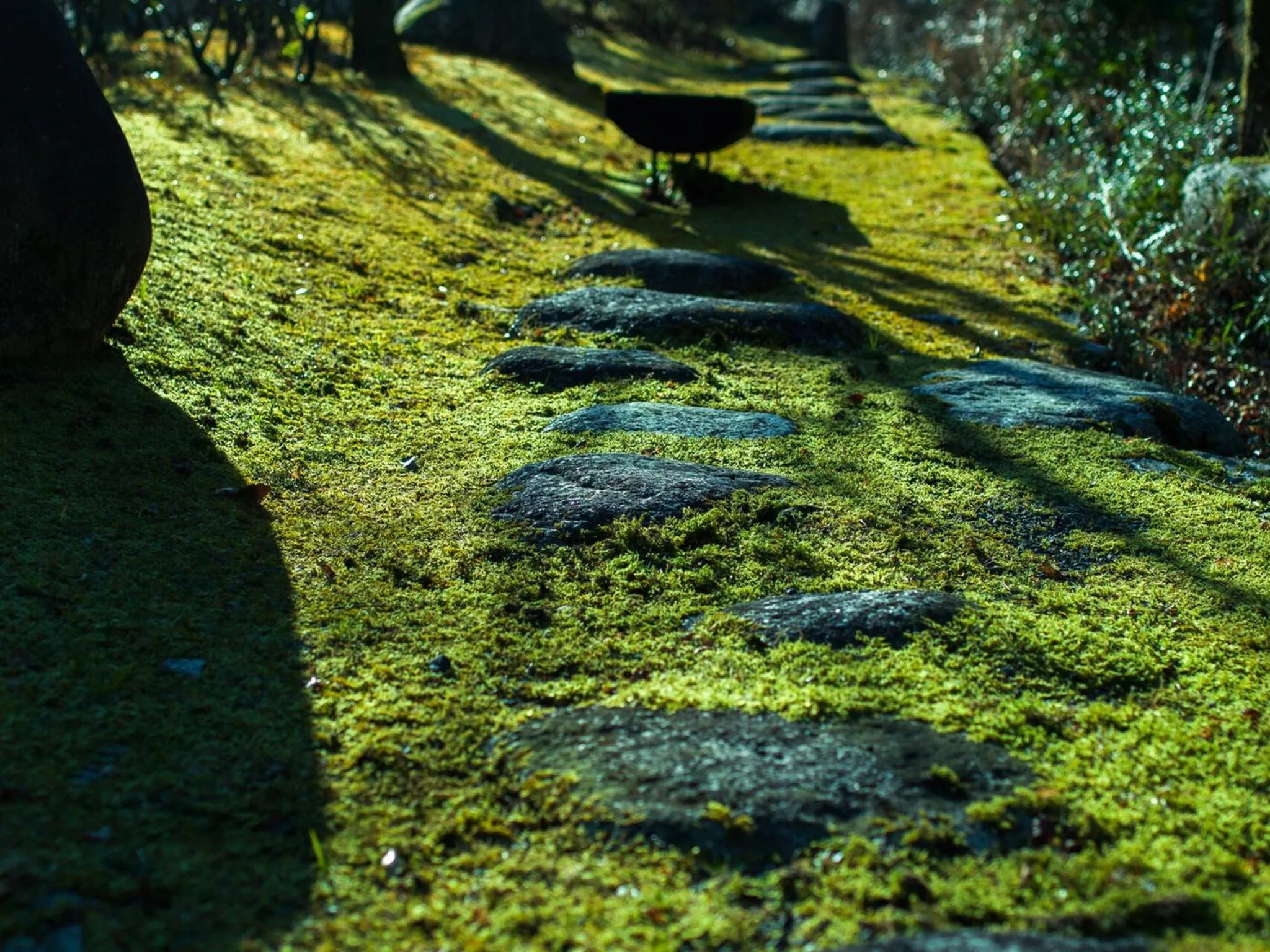 Garden in Tsukiyominoza