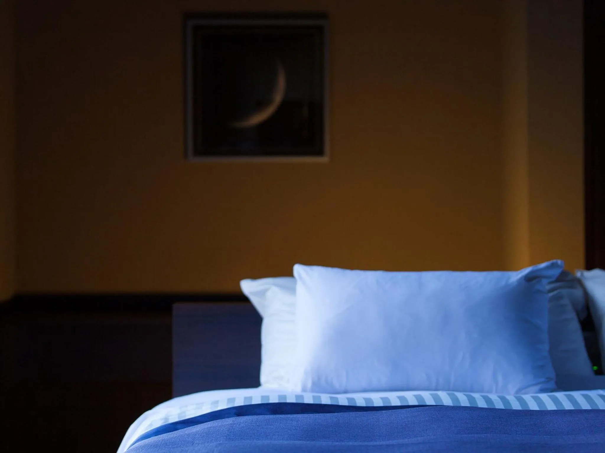 Bedroom in Tsukiyominoza