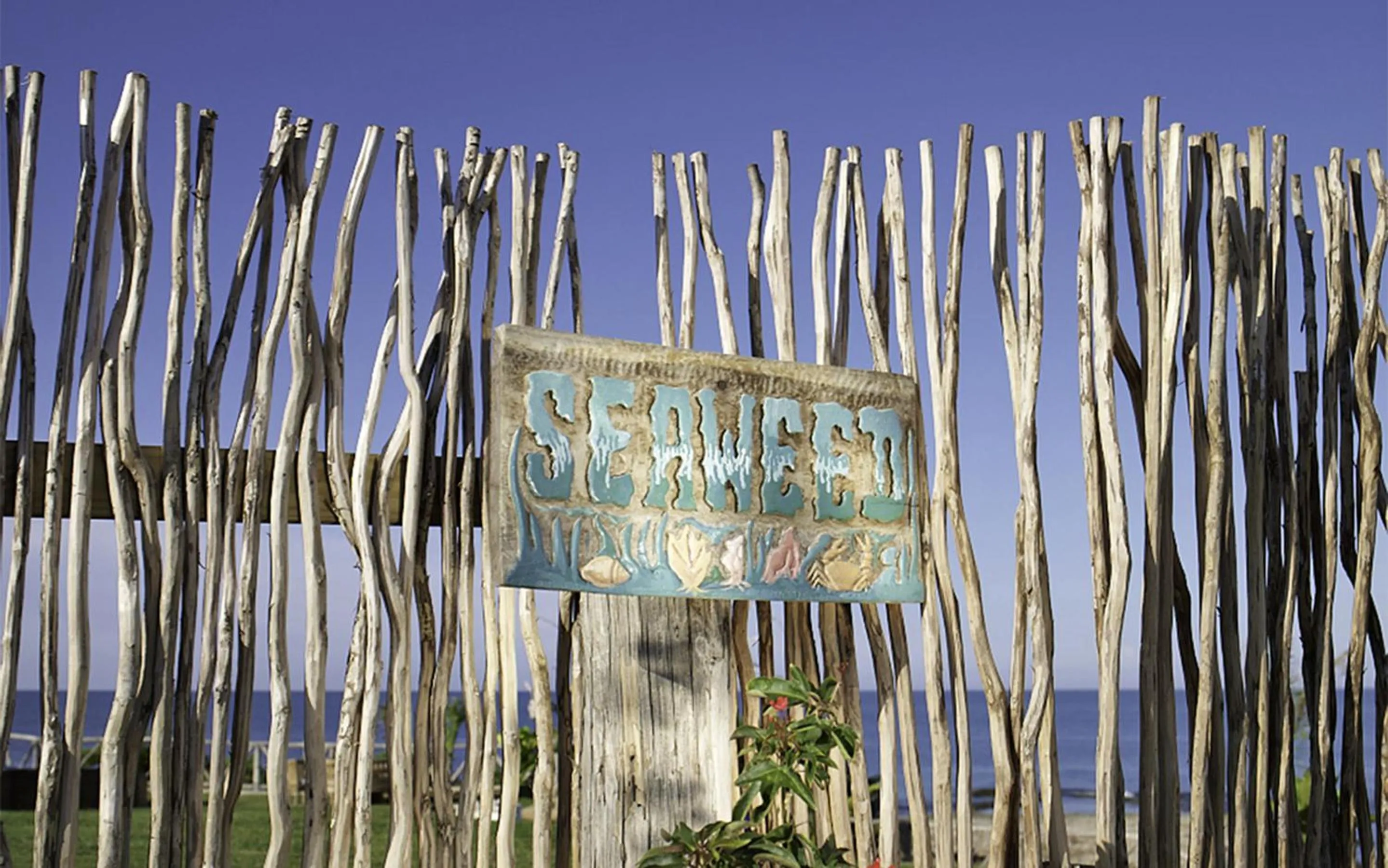 Logo/Certificate/Sign in Jakes Hotel