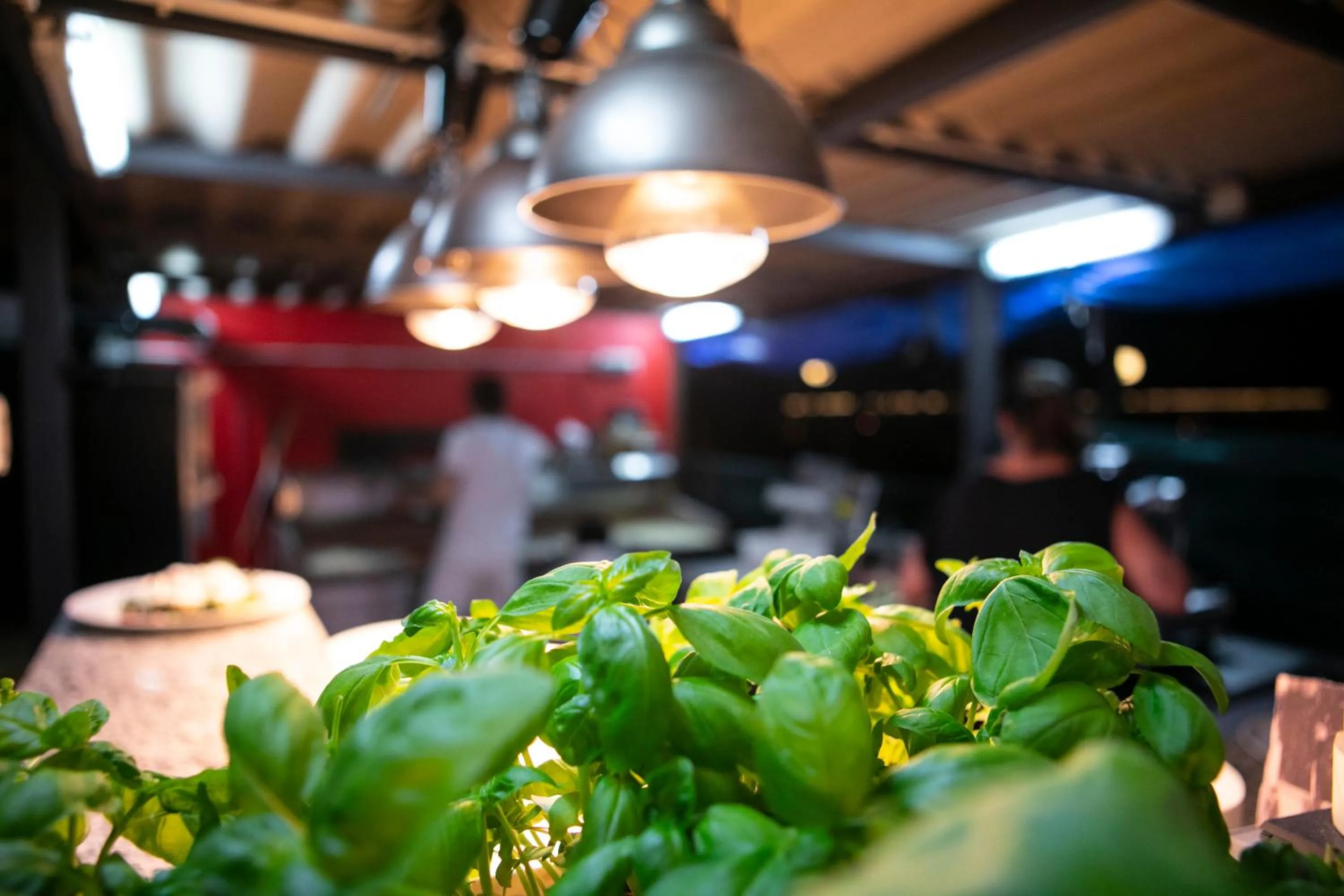 Restaurant/places to eat in Hotel Milano Pool & Garden