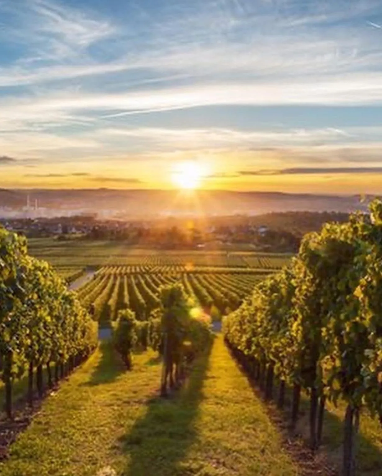 Nearby landmark in Hotel Milano Pool & Garden