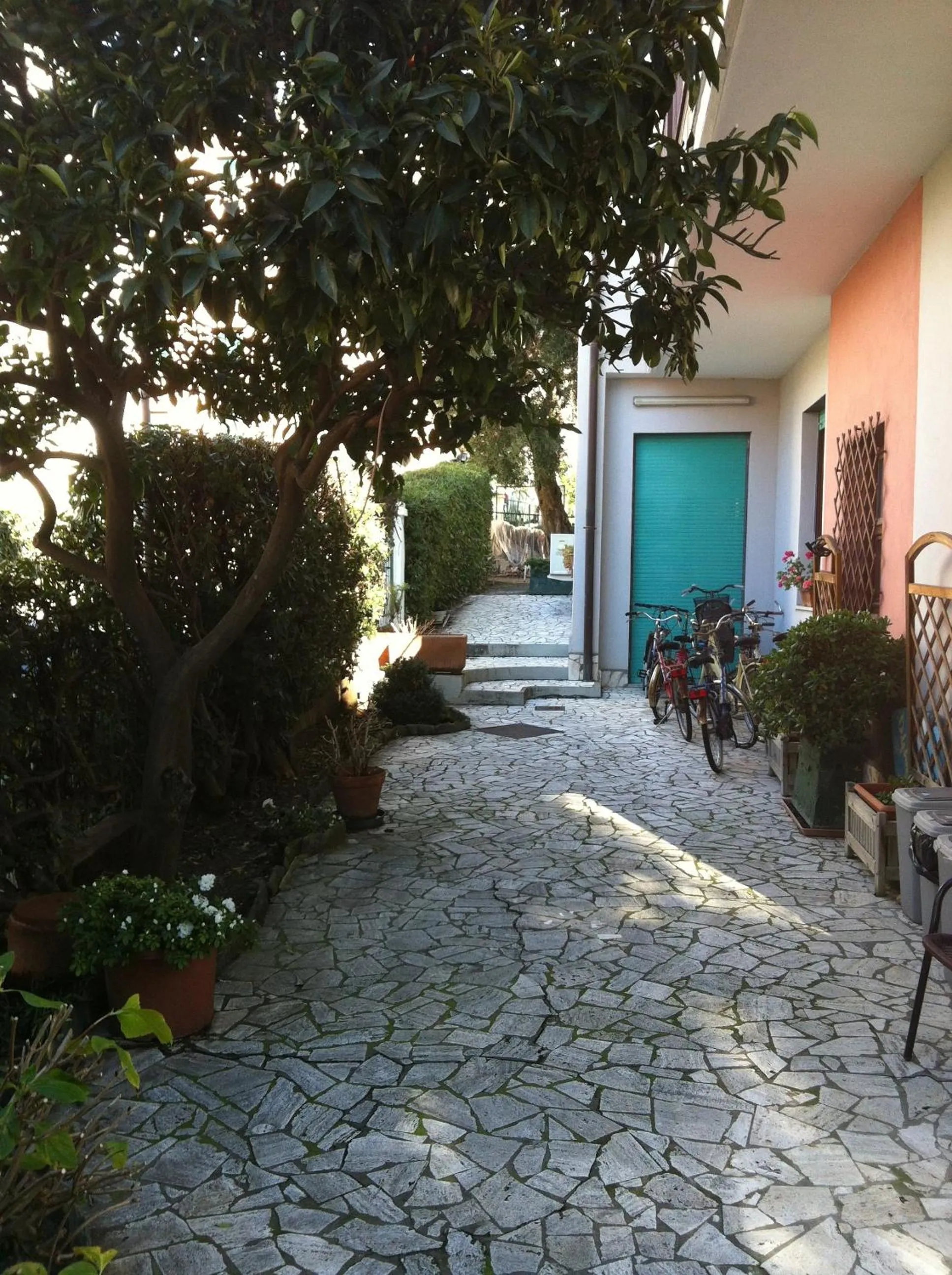 Garden in Hotel Villa Gloria