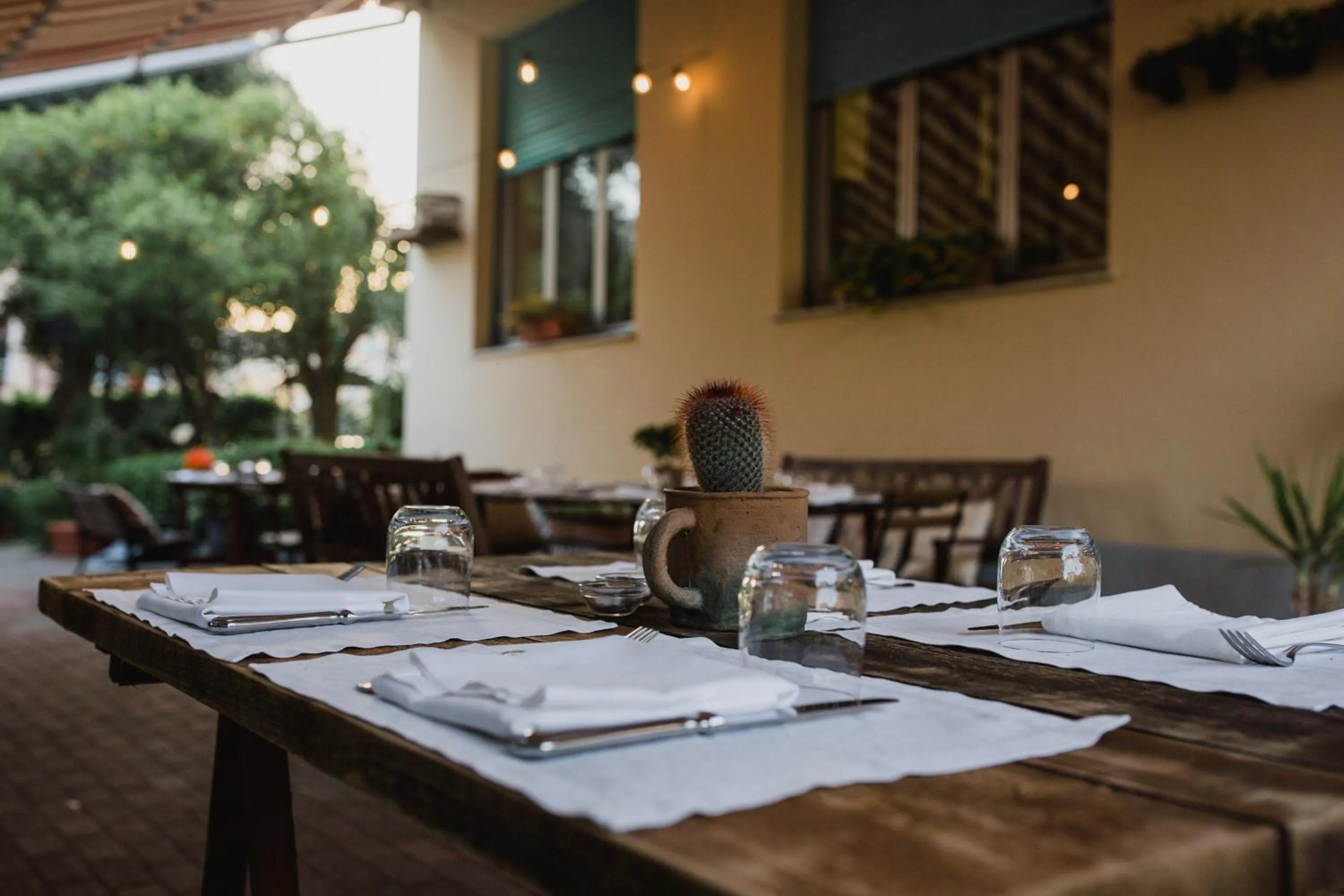 Food and drinks in Hotel Villa Gloria