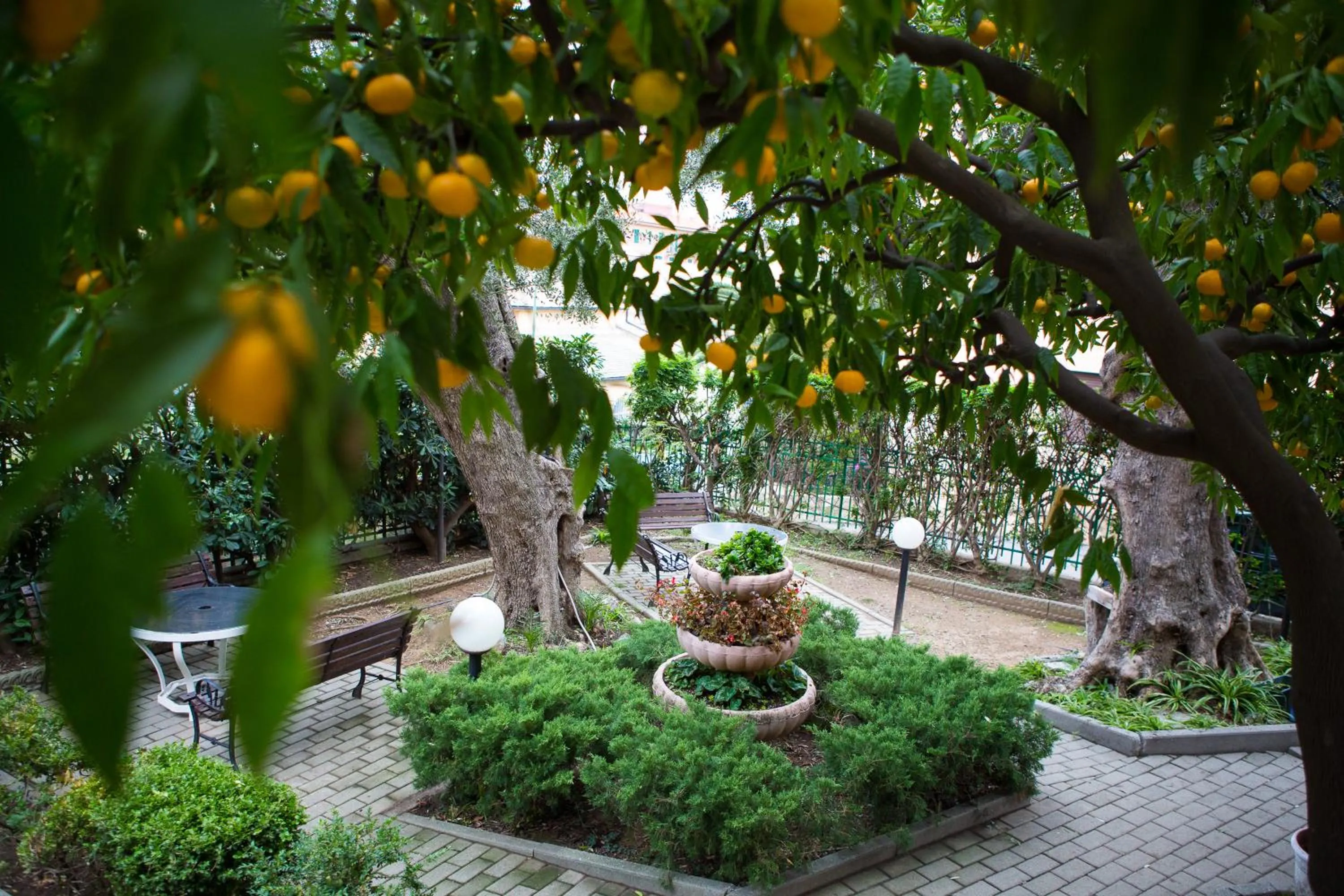 Garden in Hotel Villa Gloria