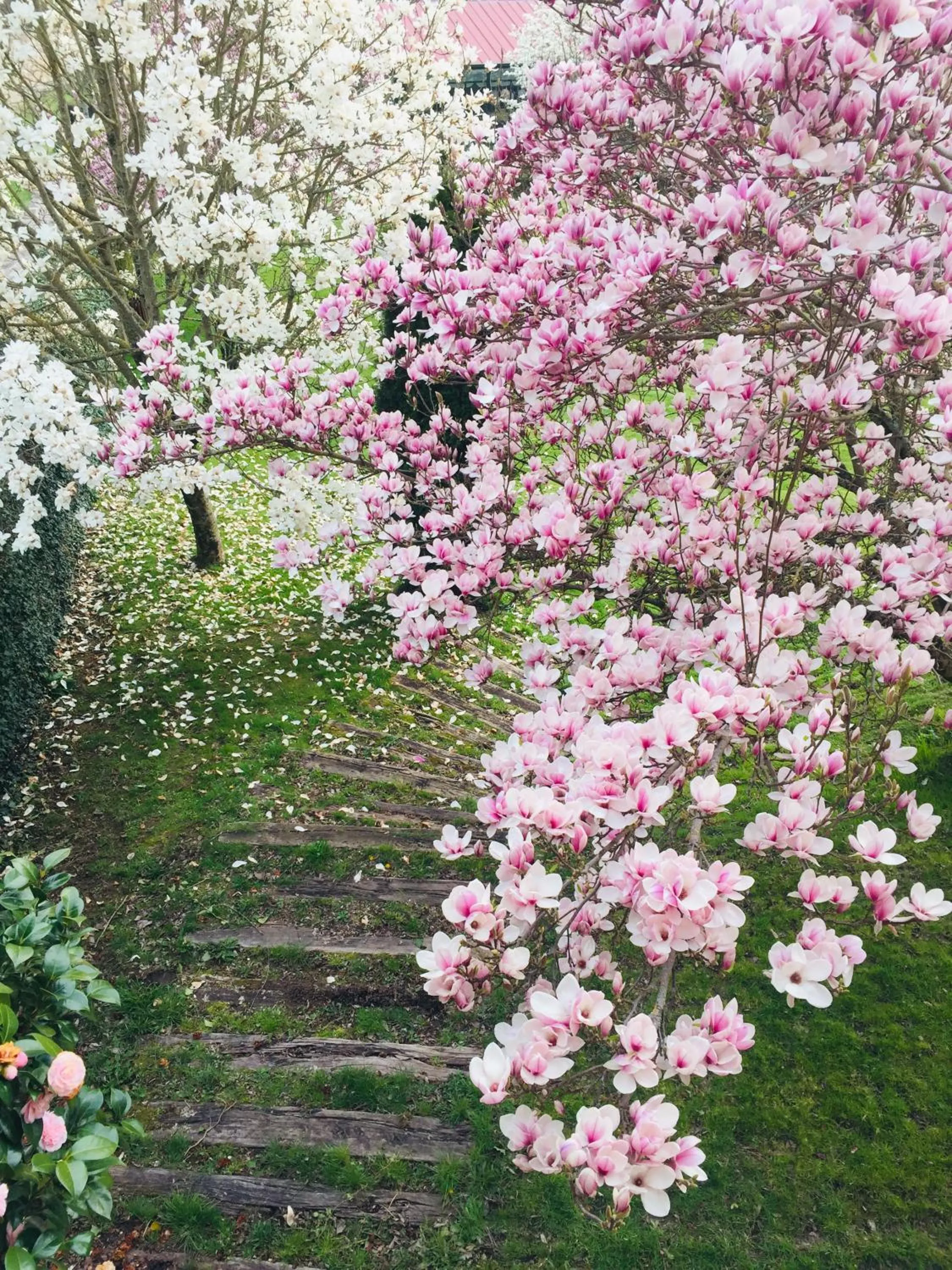 Natural landscape in Pazo de Bendoiro