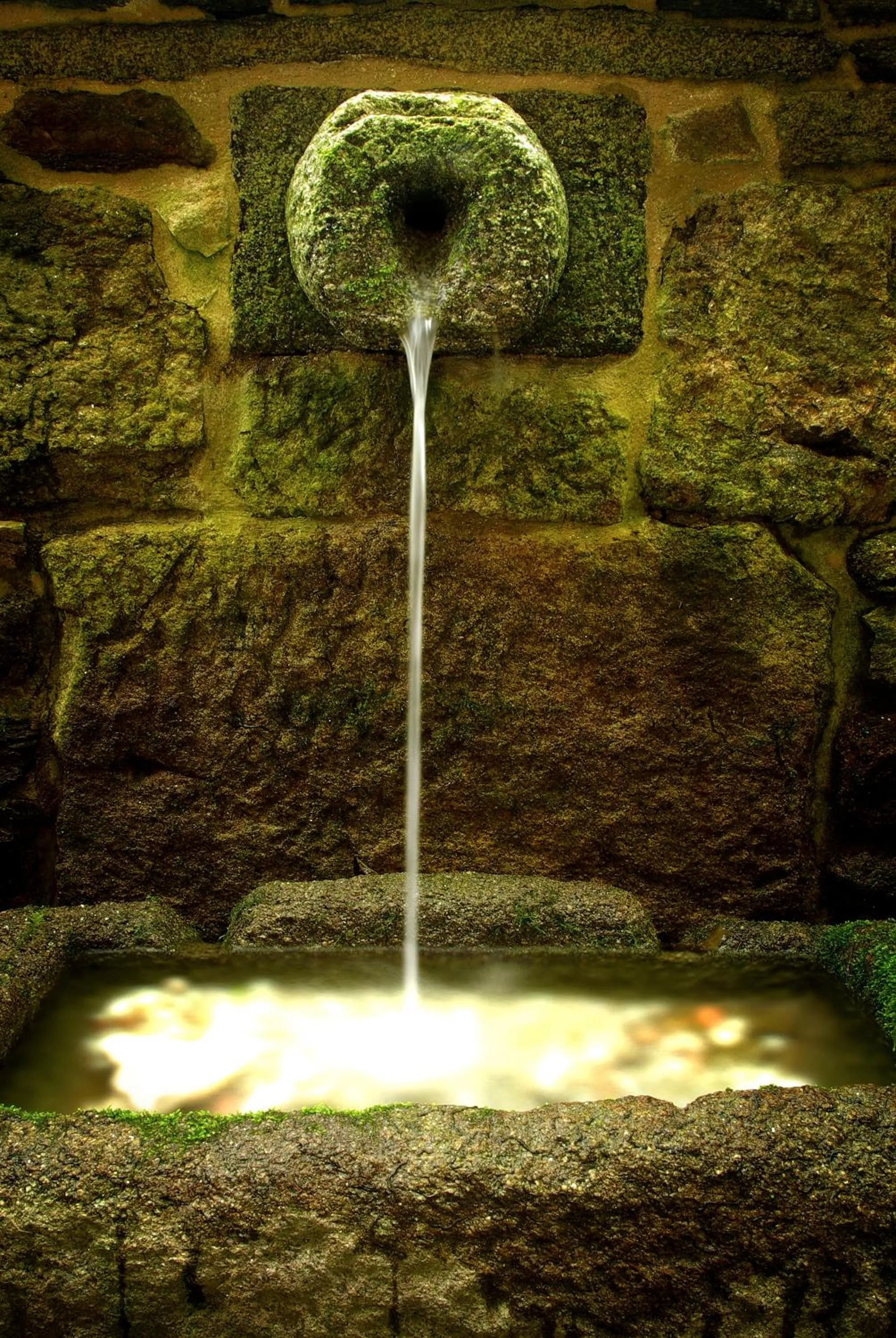 Off site in Pazo de Bendoiro