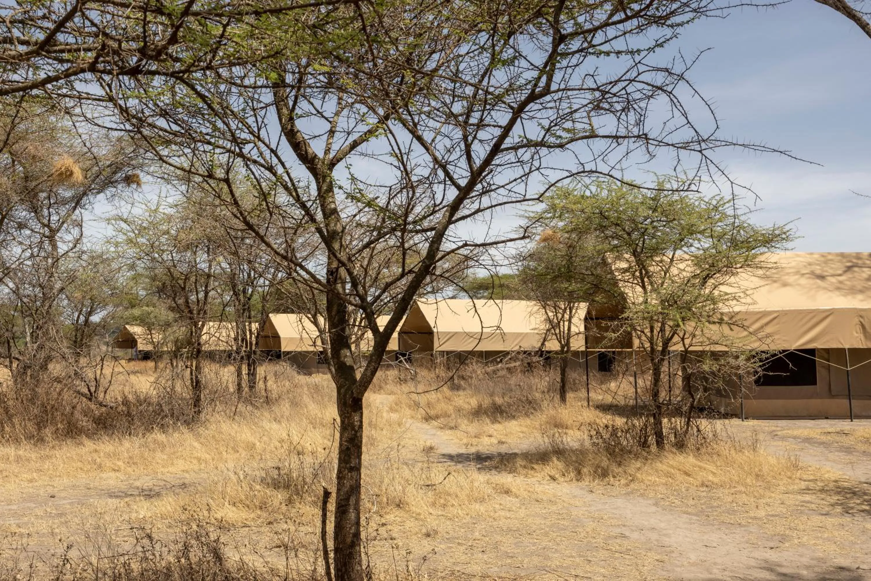 Natural landscape in Africa Safari South Serengeti Ndutu Ngorongoro