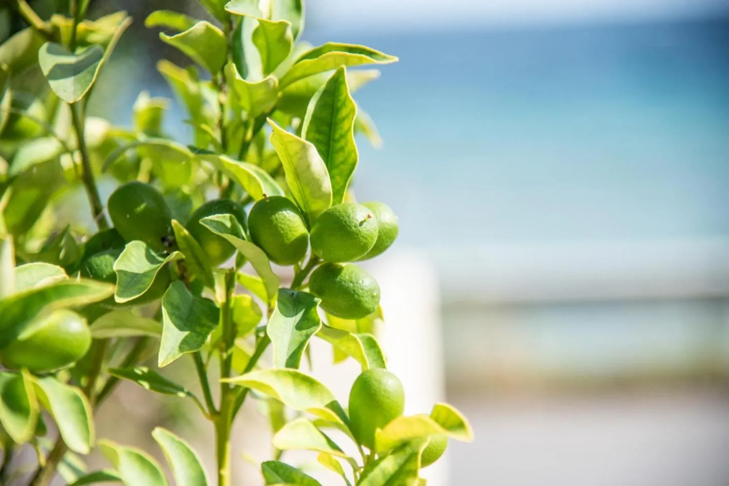 Kaiser Luxury Suites