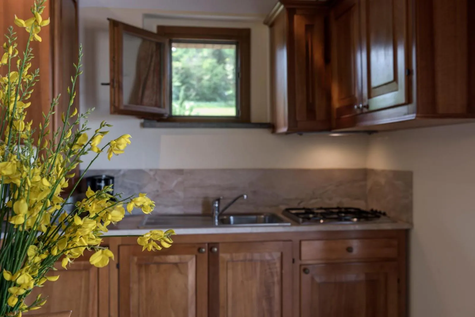 Kitchen or kitchenette in Antica Fonte Resort