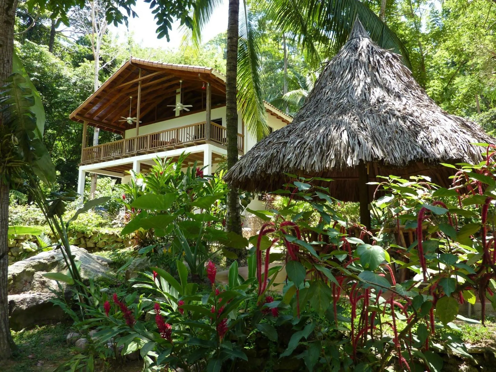 Property building in Villas Pico Bonito