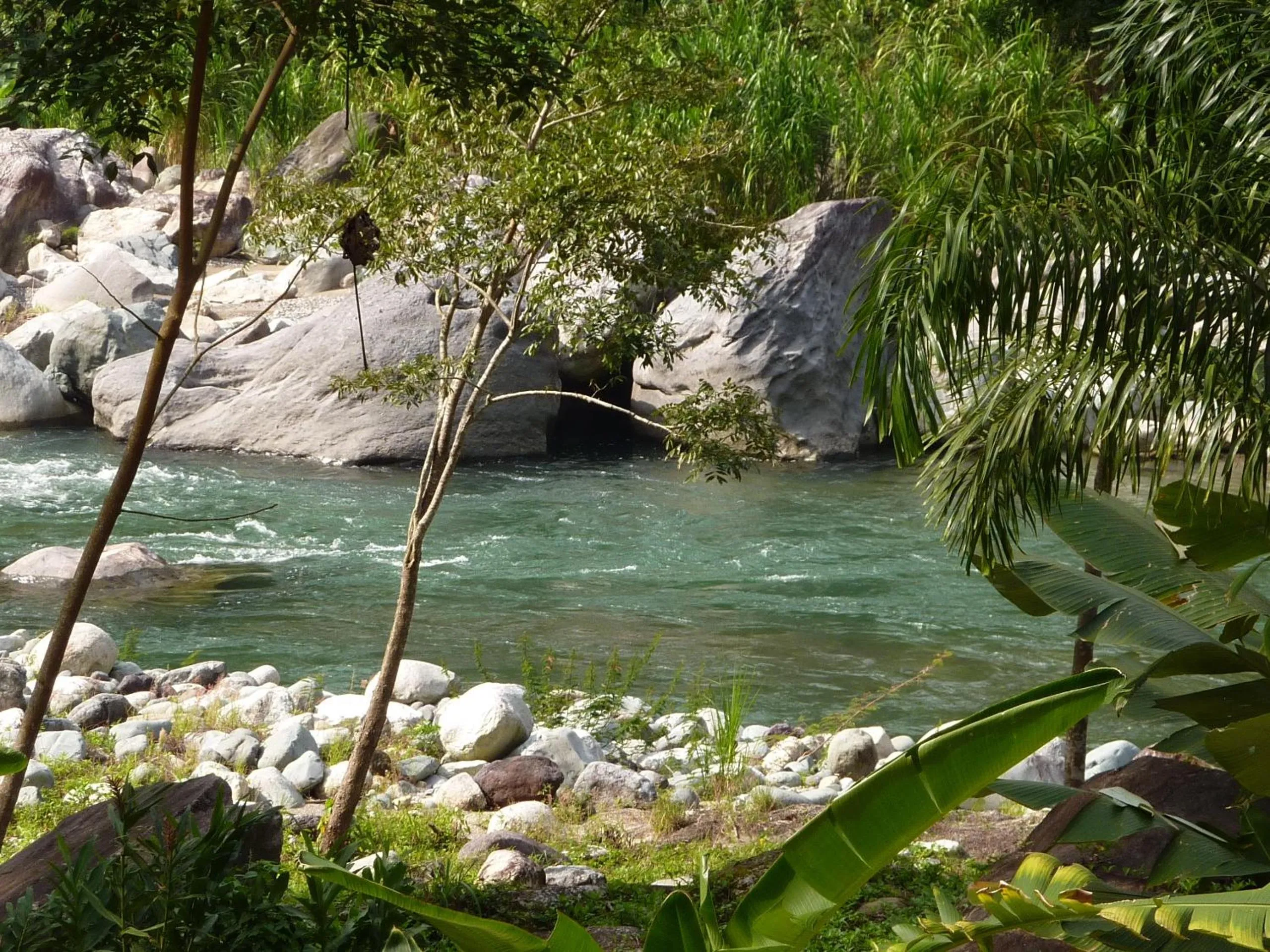 River view in Villas Pico Bonito