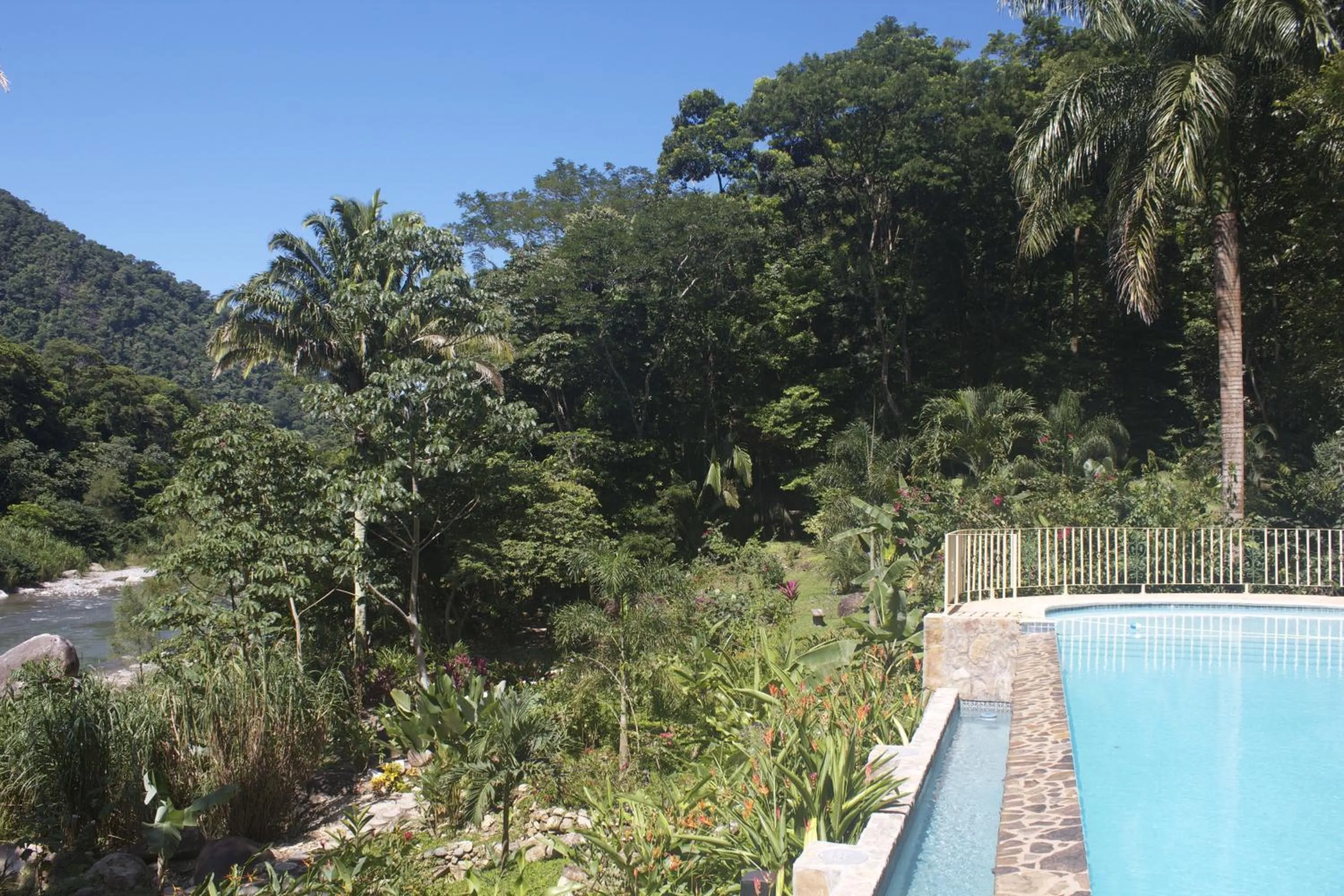 Swimming pool in Villas Pico Bonito