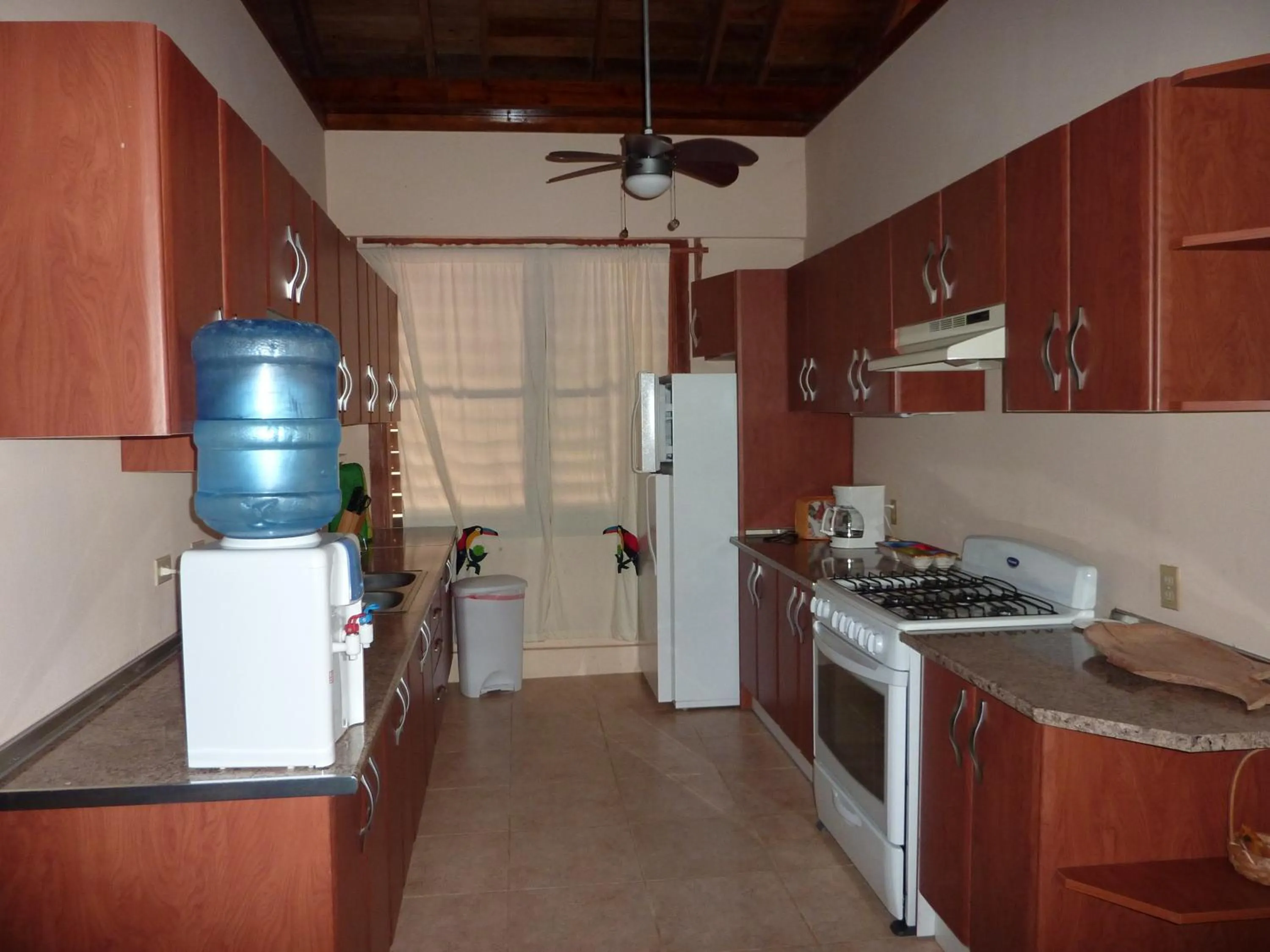 Kitchen or kitchenette in Villas Pico Bonito