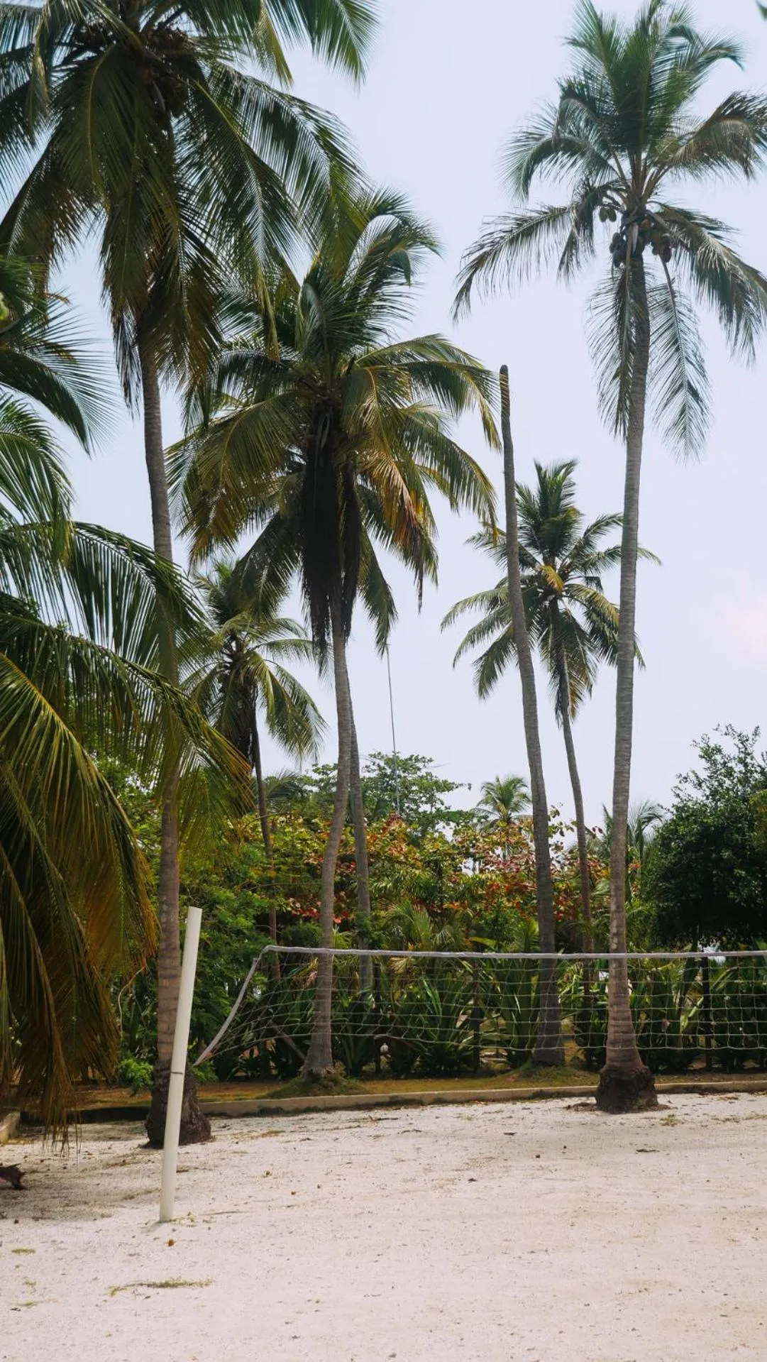 Garden view in Múcura Club Hotel