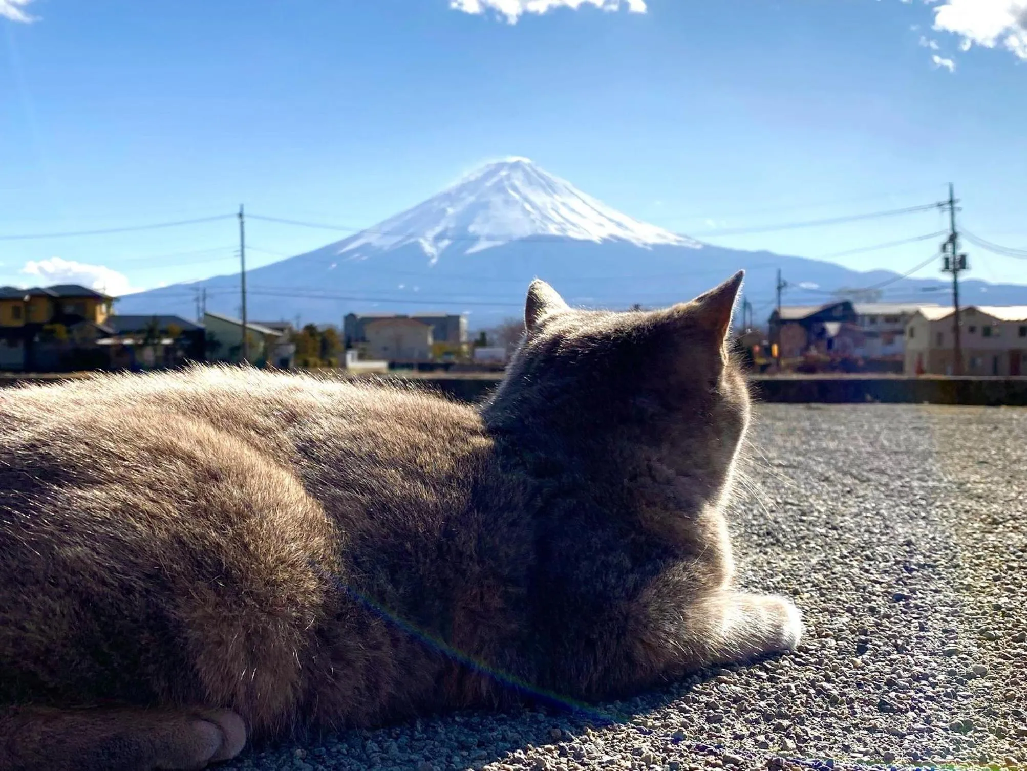 Day in Lake Villa Kawaguchiko