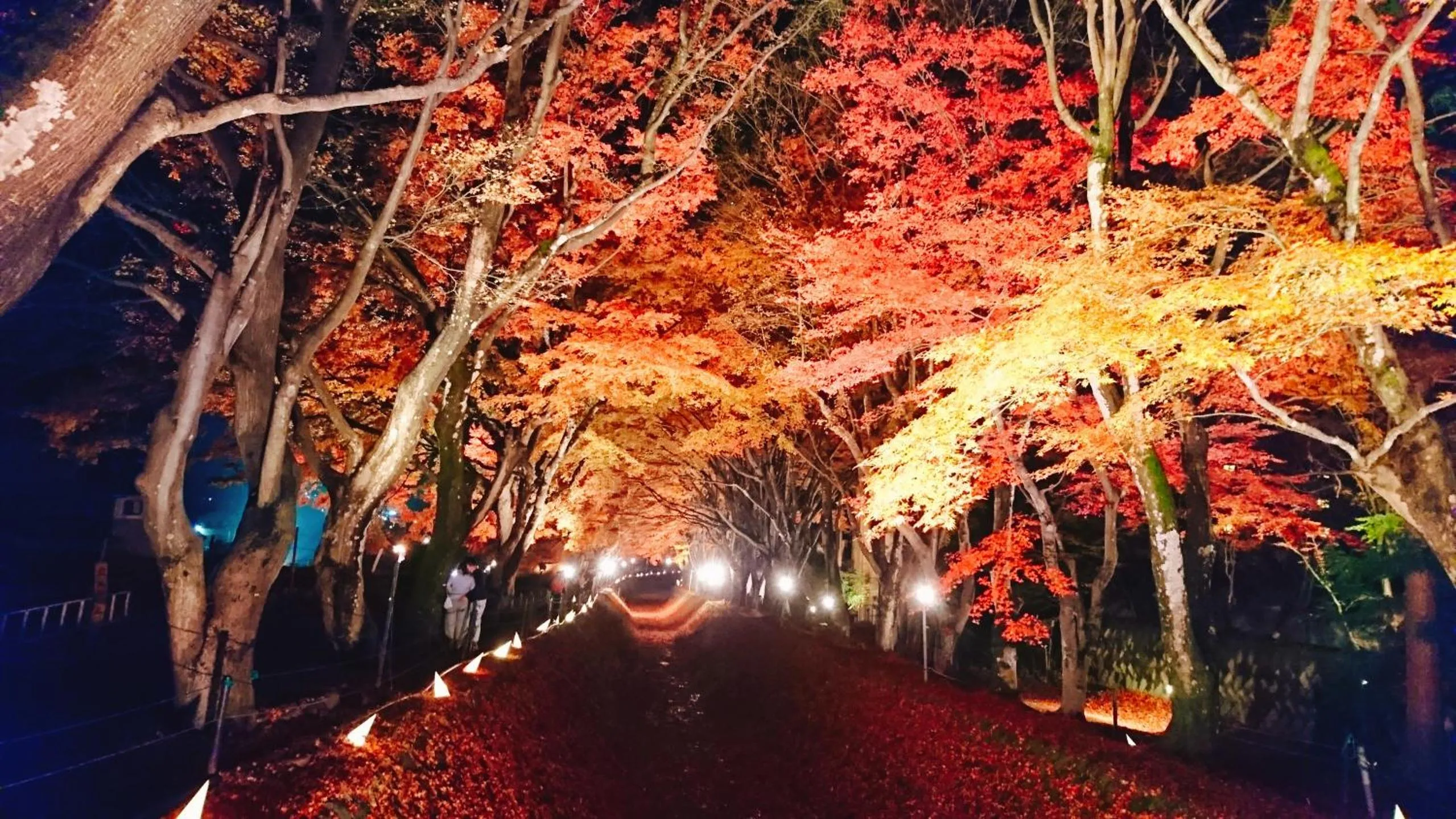 Off site in Lake Villa Kawaguchiko