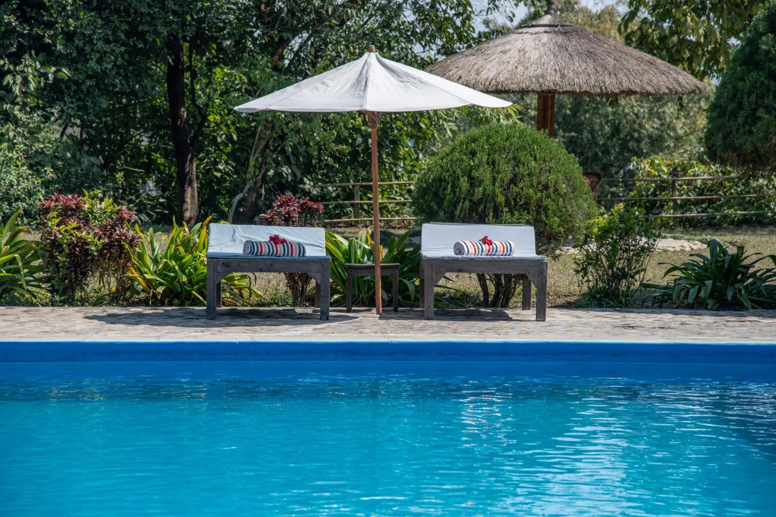 Swimming pool in Tiger Tops Tharu Lodge