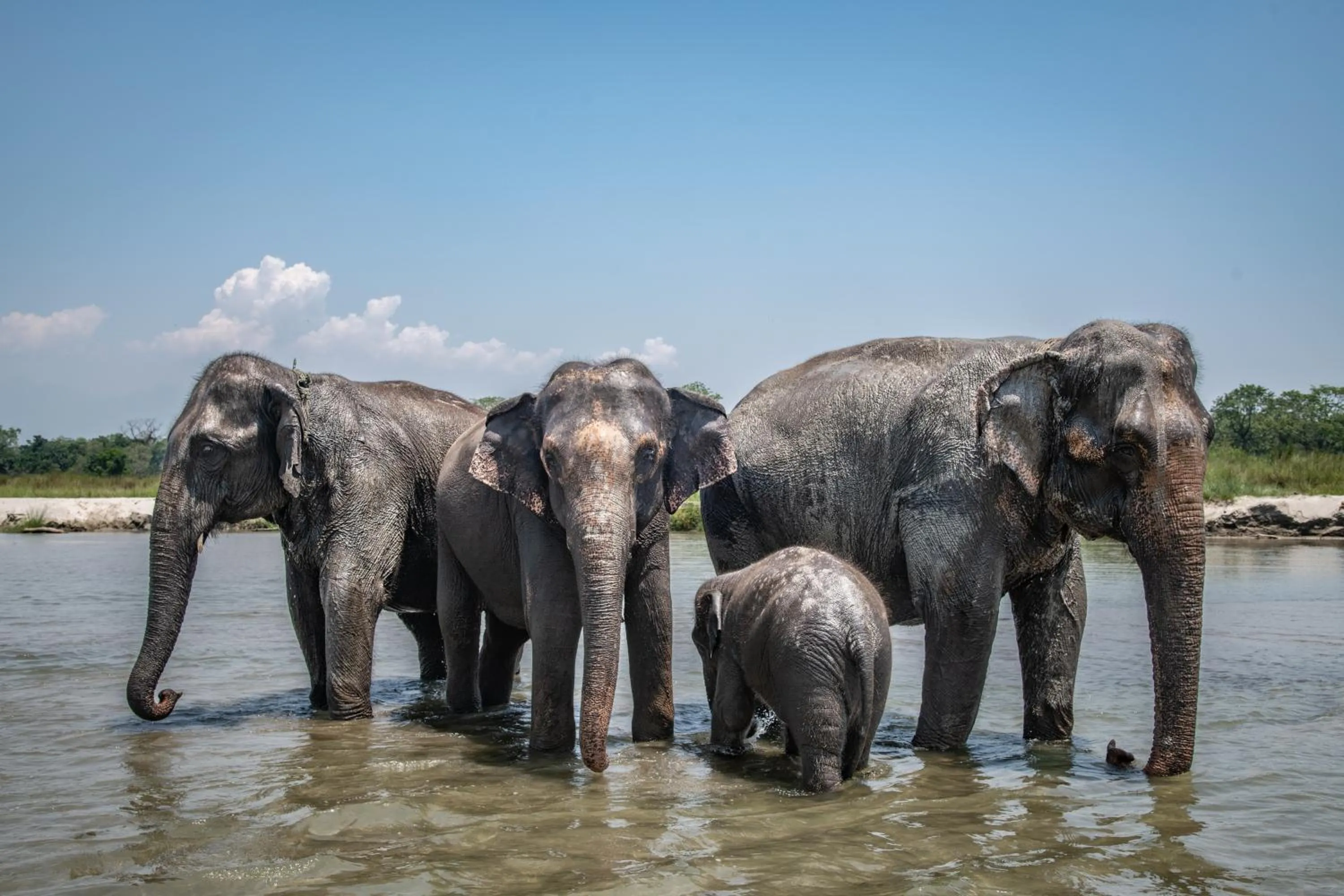 Day in Tiger Tops Tharu Lodge