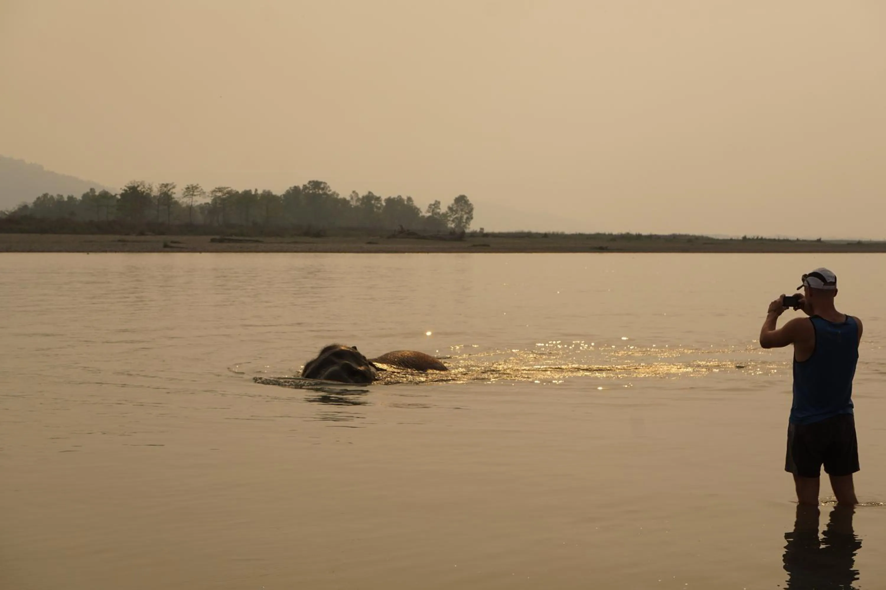 Animals in Tiger Tops Tharu Lodge