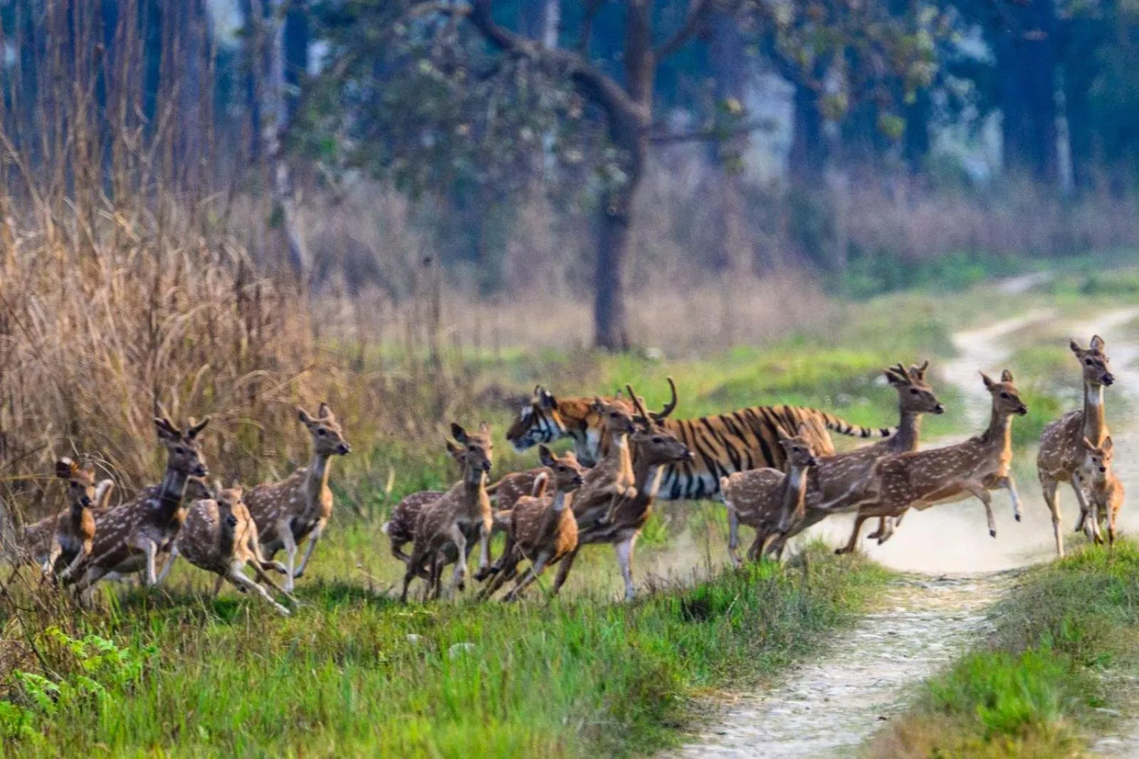 Nearby landmark in Tiger Tops Karnali Lodge