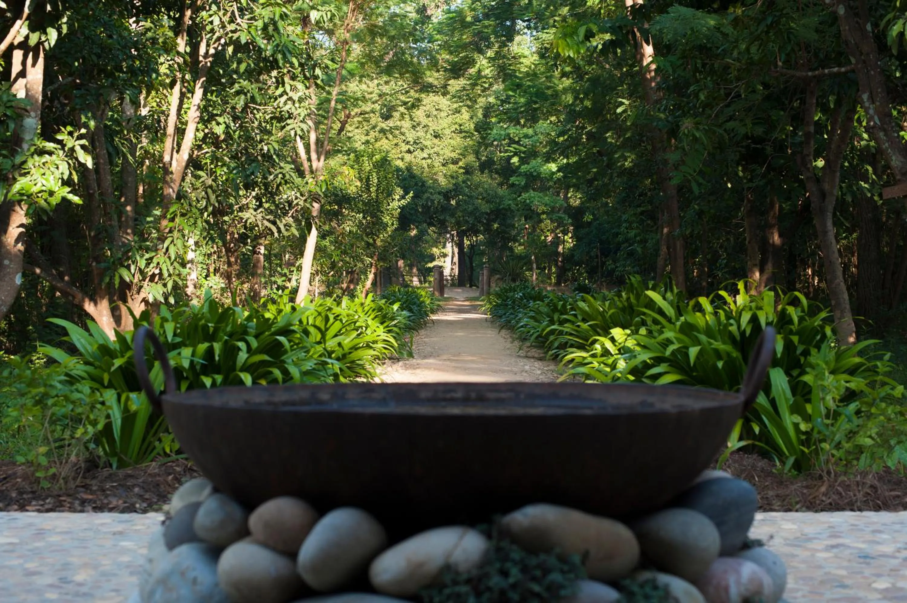 Restaurant/places to eat in Tiger Tops Karnali Lodge