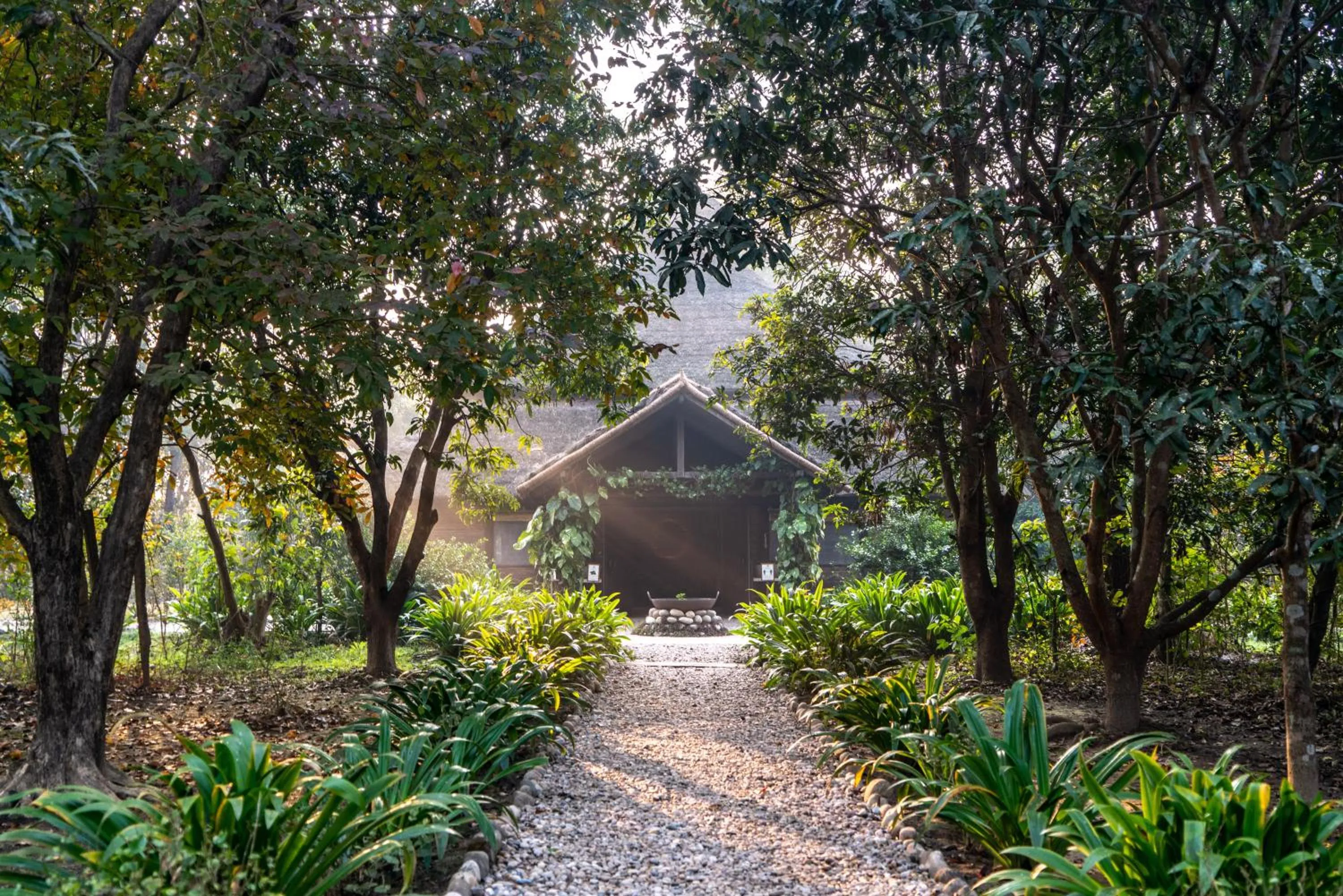 View (from property/room) in Tiger Tops Karnali Lodge