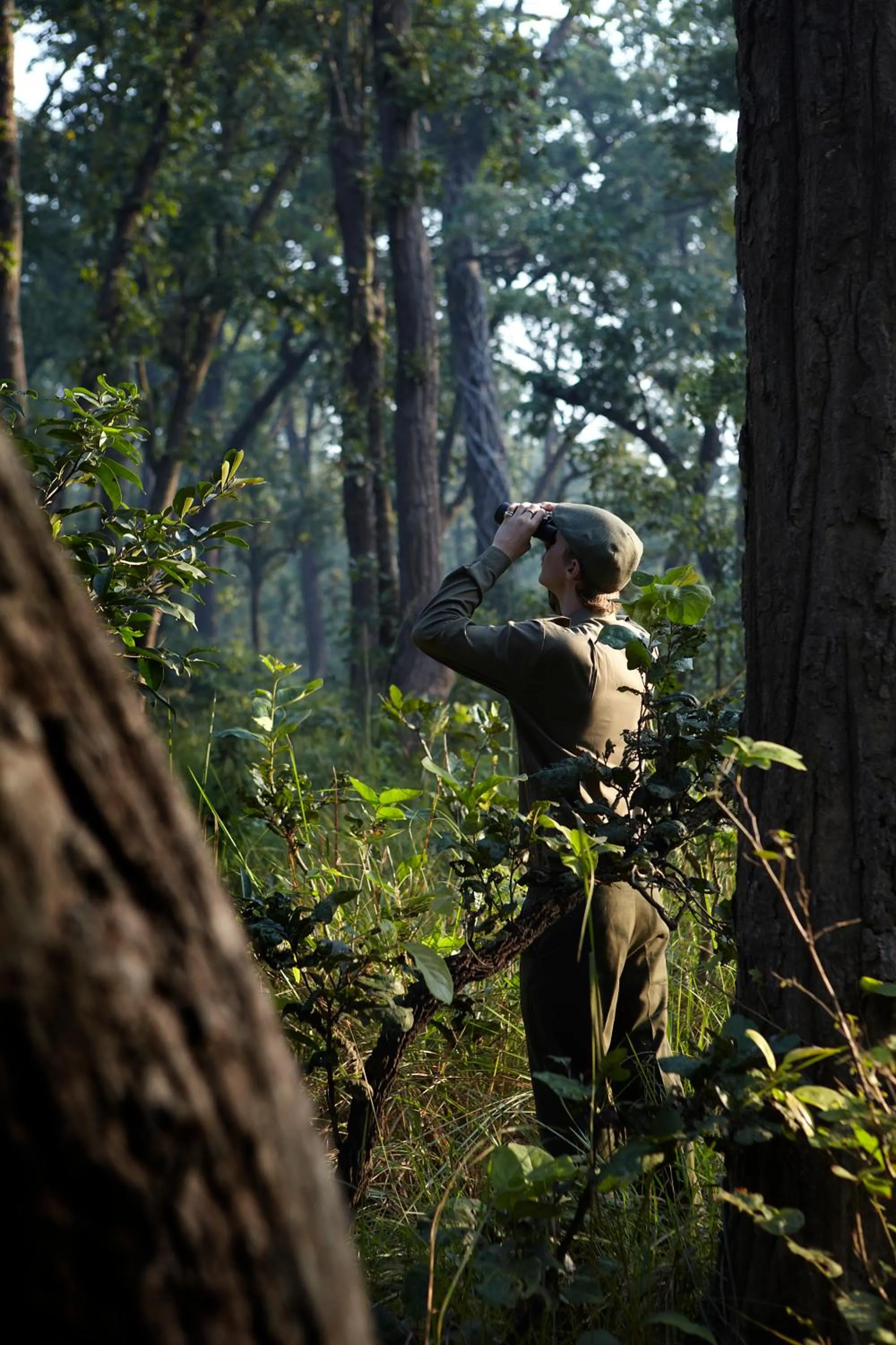 Spring in Tiger Tops Karnali Lodge