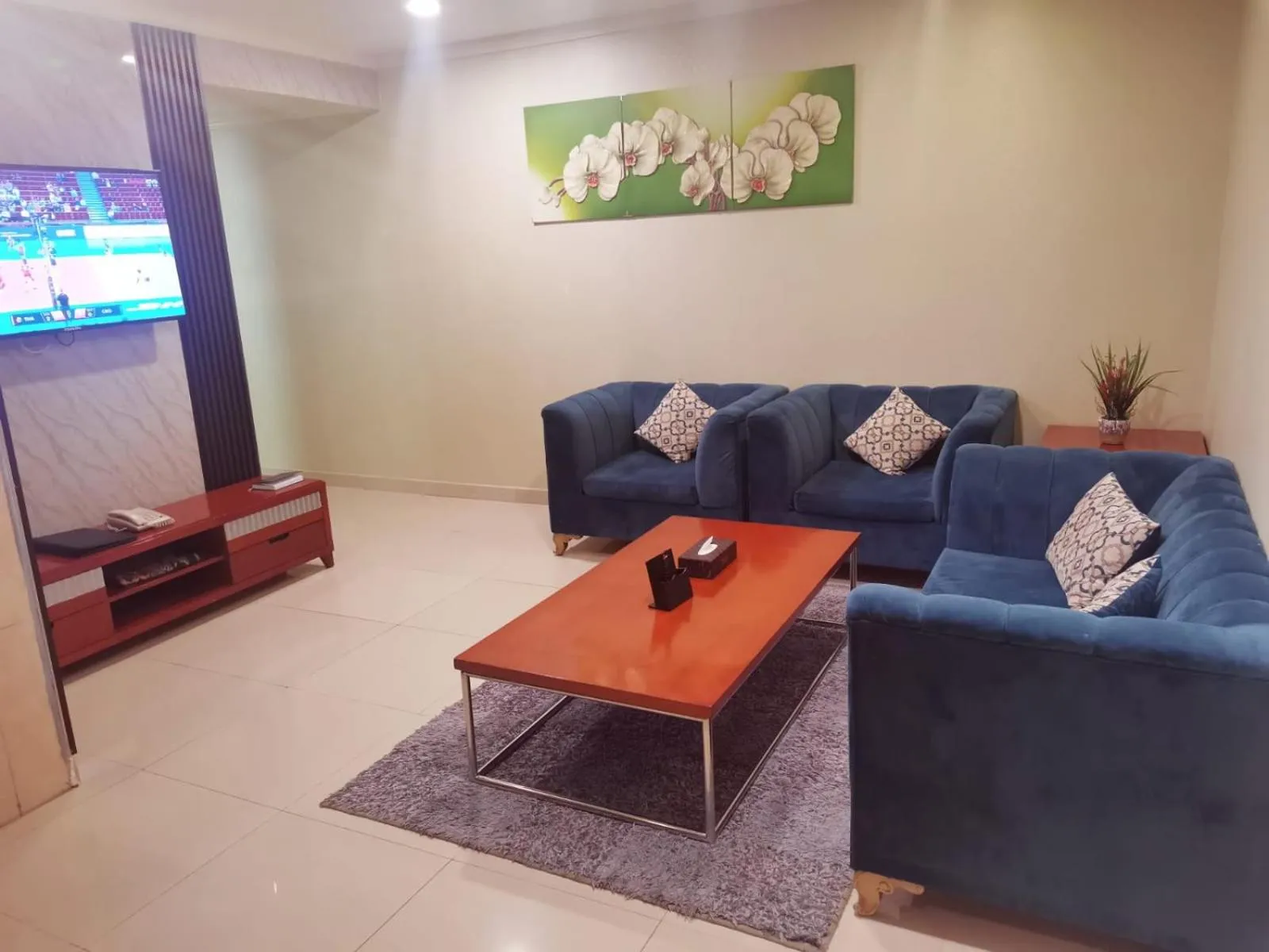 TV and multimedia in Villa Park