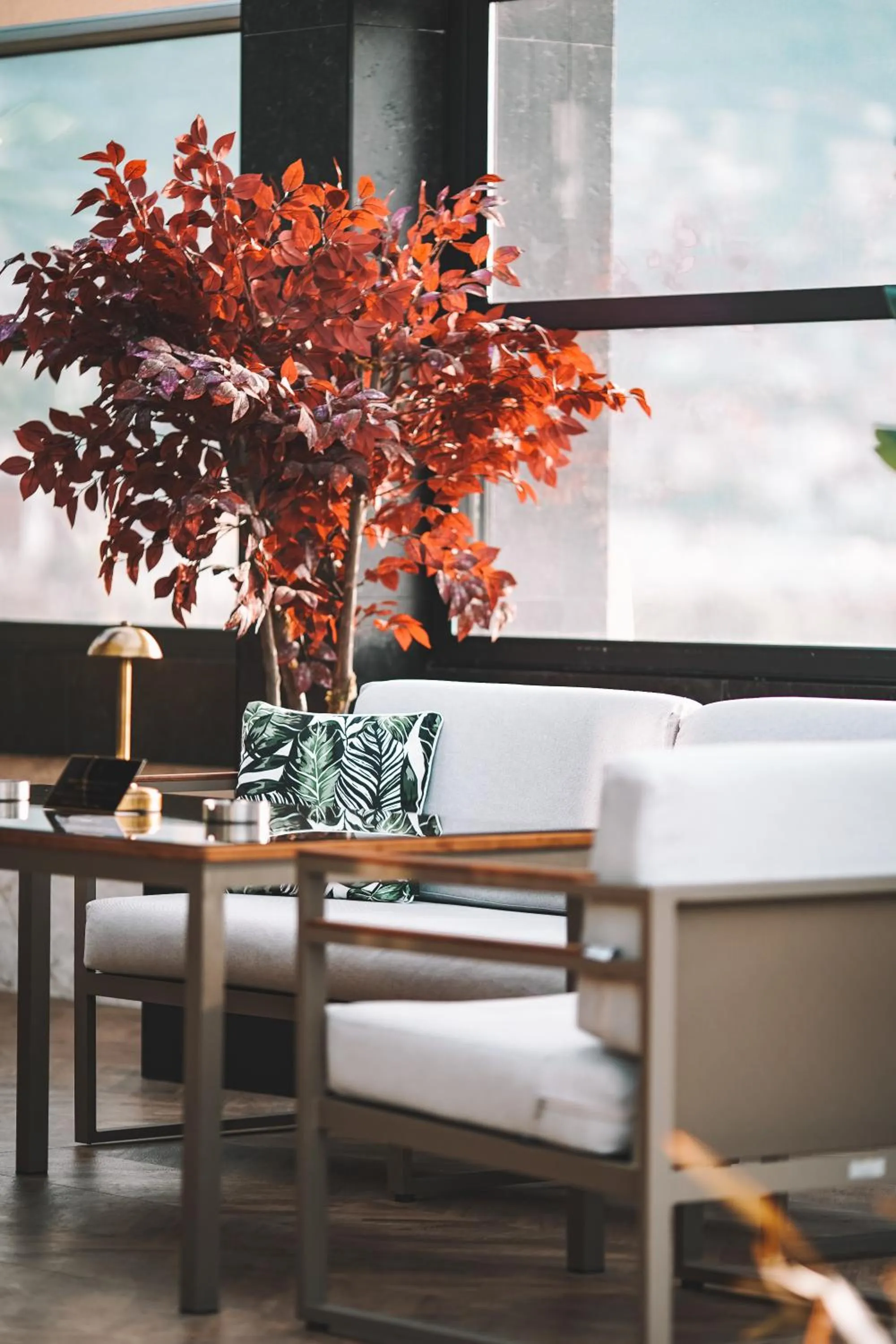 Restaurant/places to eat in Almira Hotel Thermal Spa & Convention Center