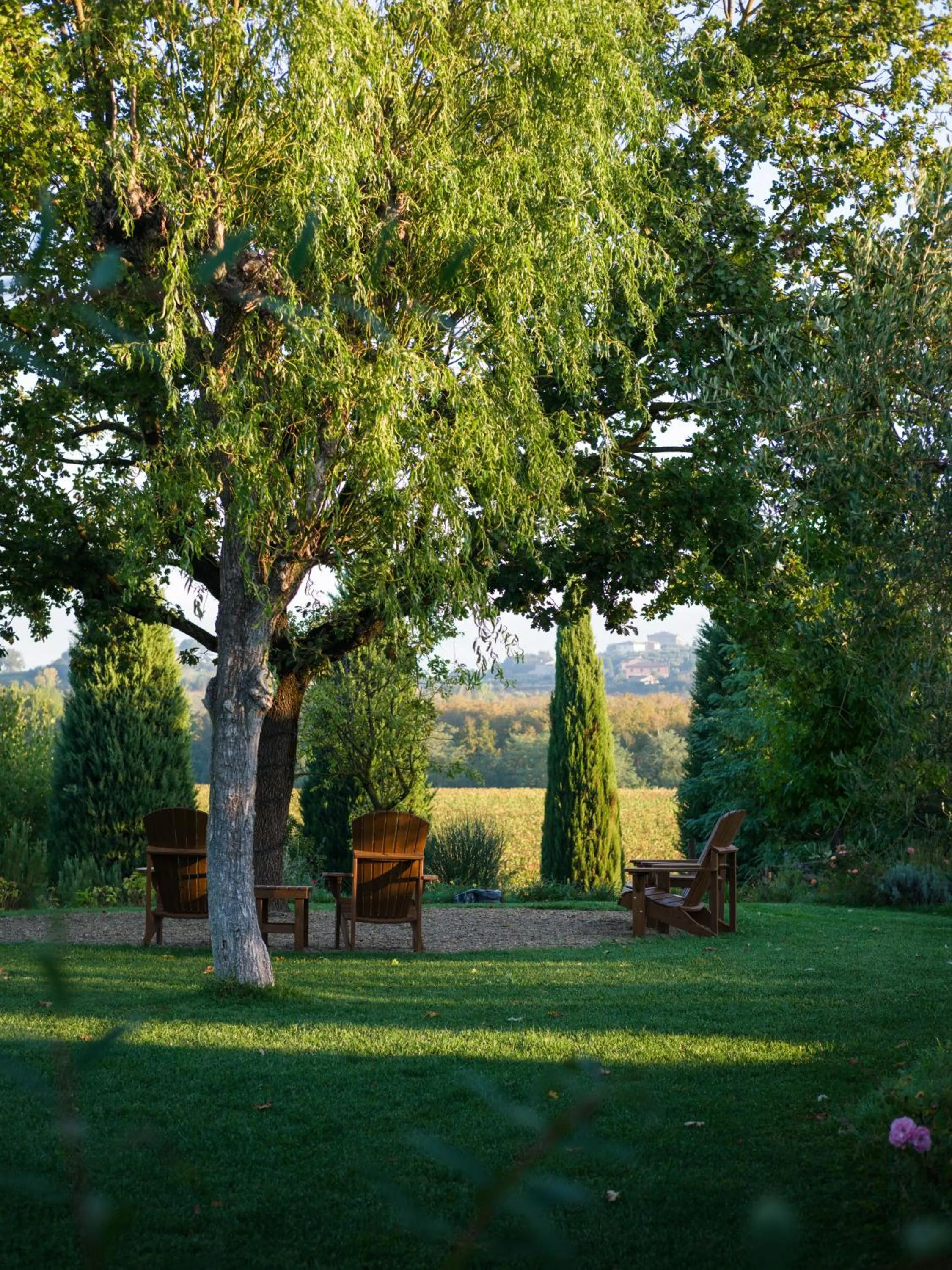 View (from property/room) in Borgo San Vincenzo
