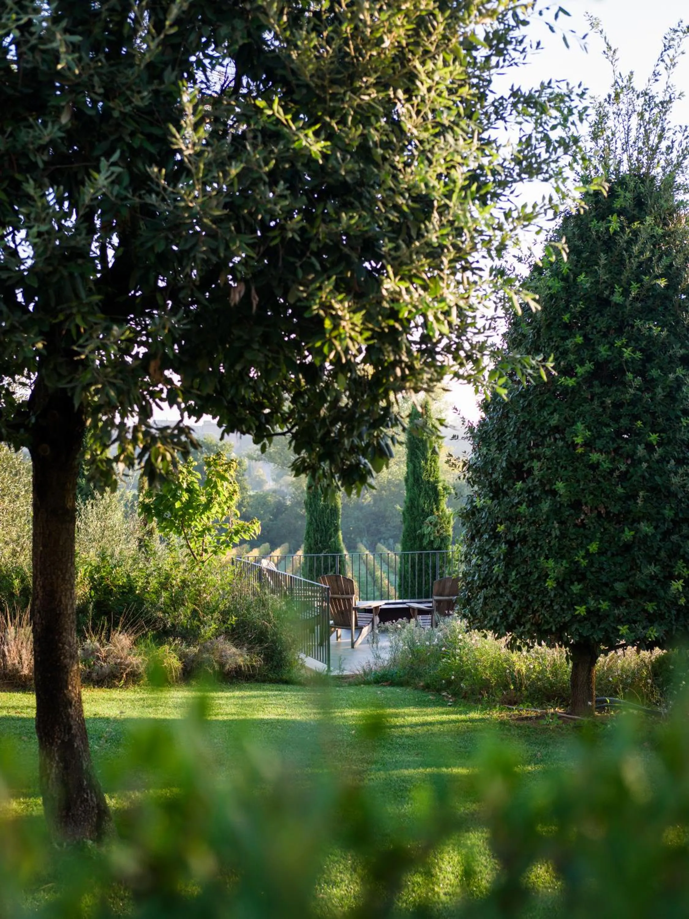 Natural landscape in Borgo San Vincenzo