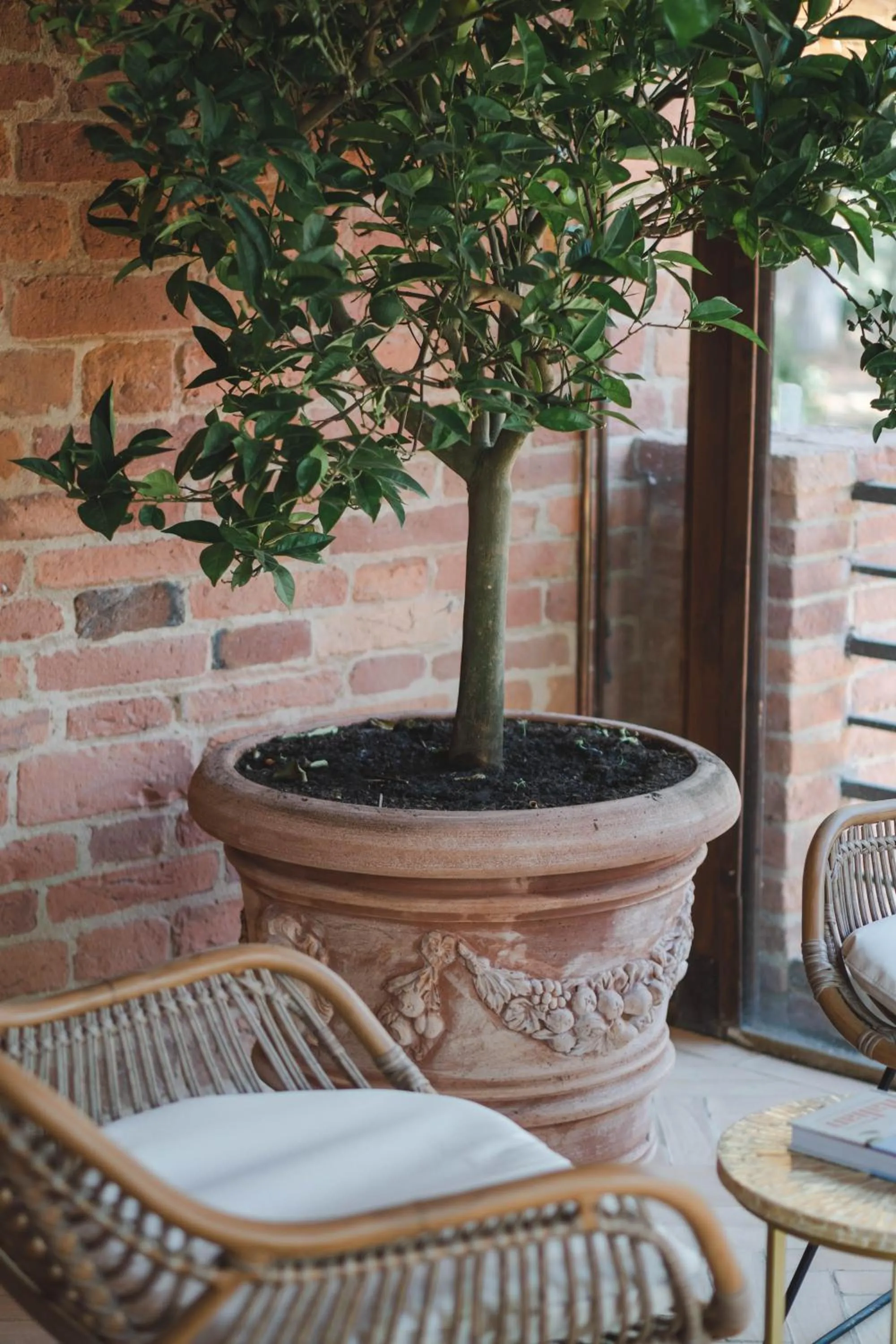 Seating area in Borgo San Vincenzo