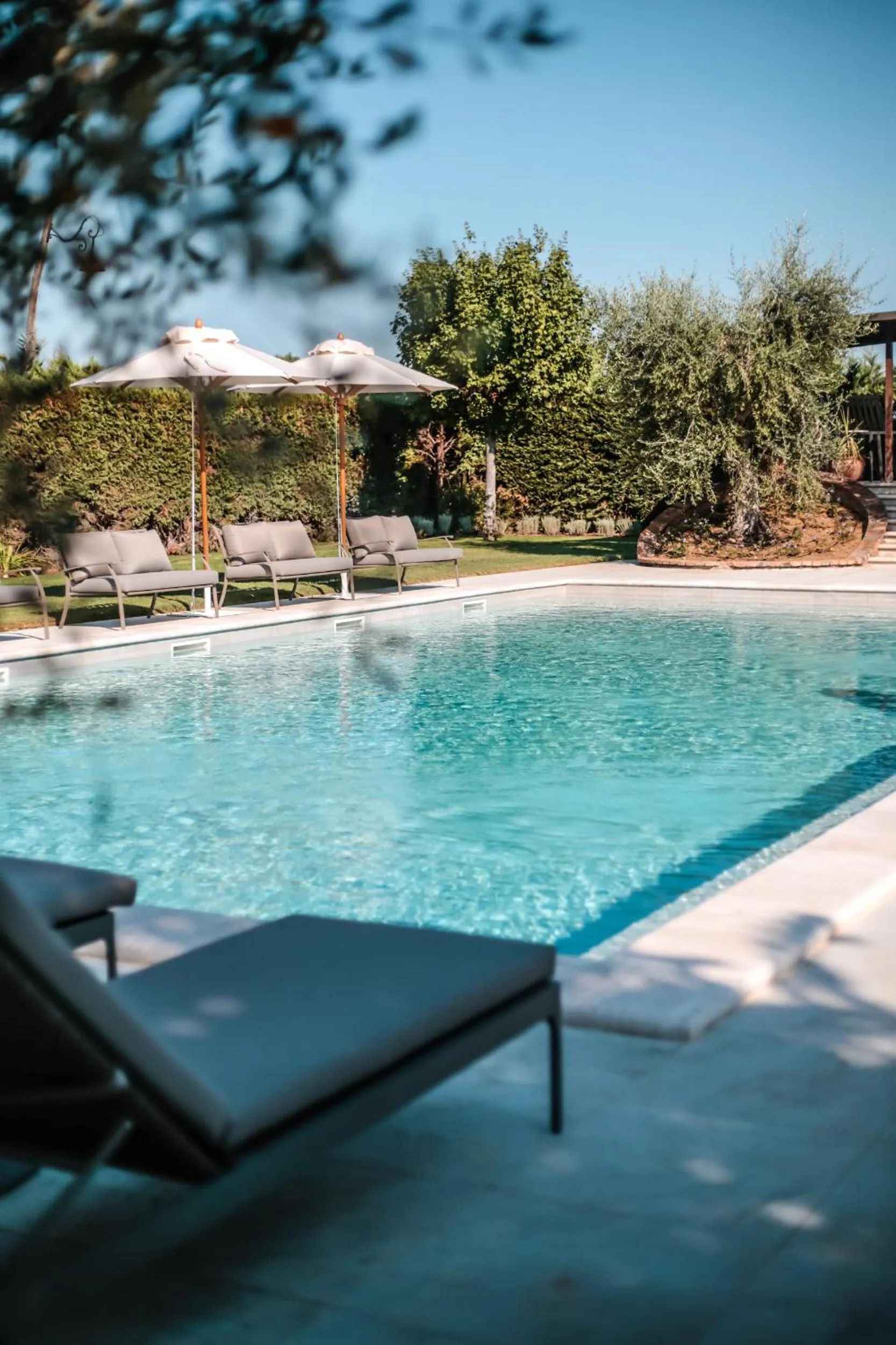 Swimming pool in Borgo San Vincenzo